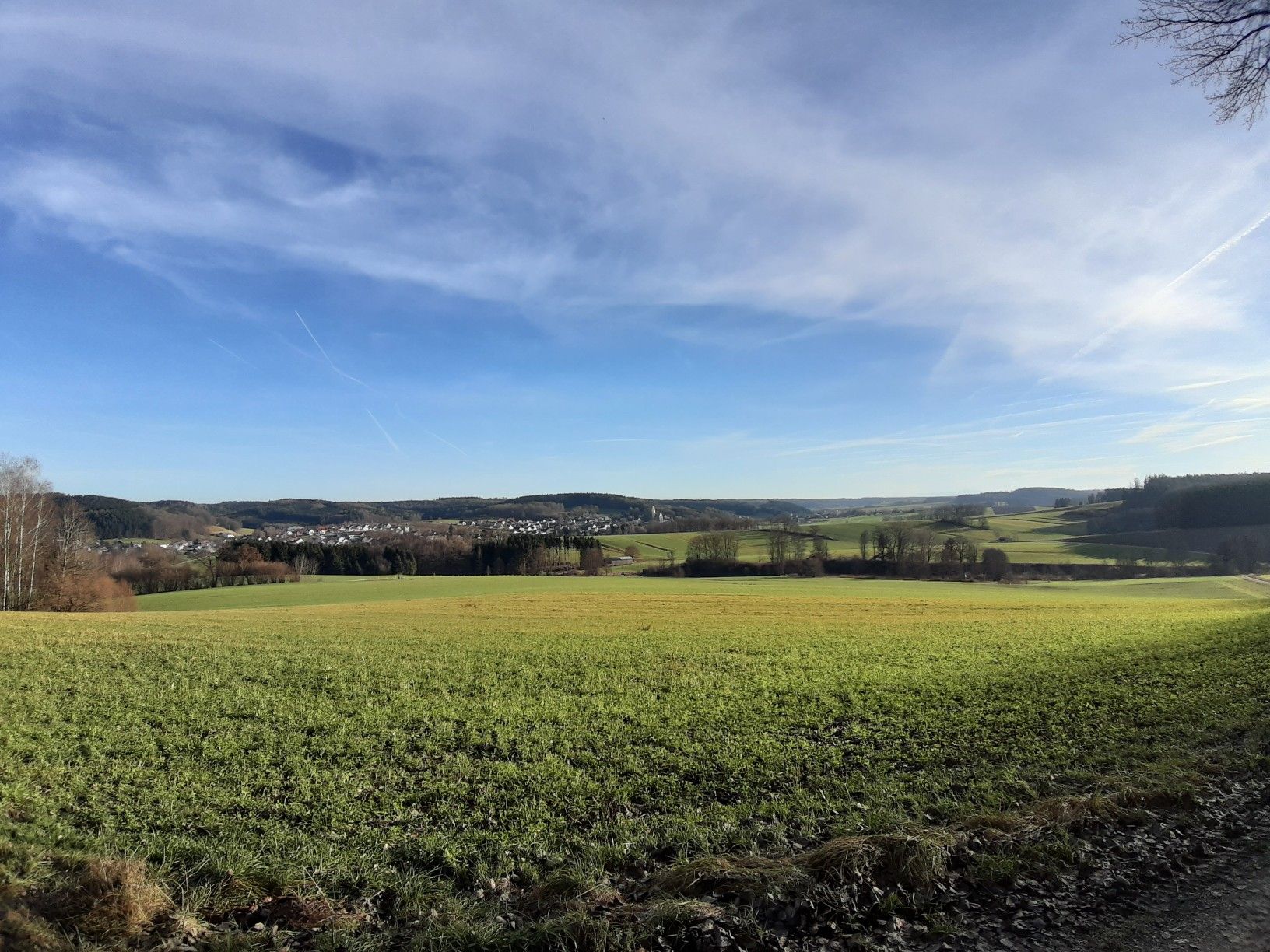 Staudenpanorama