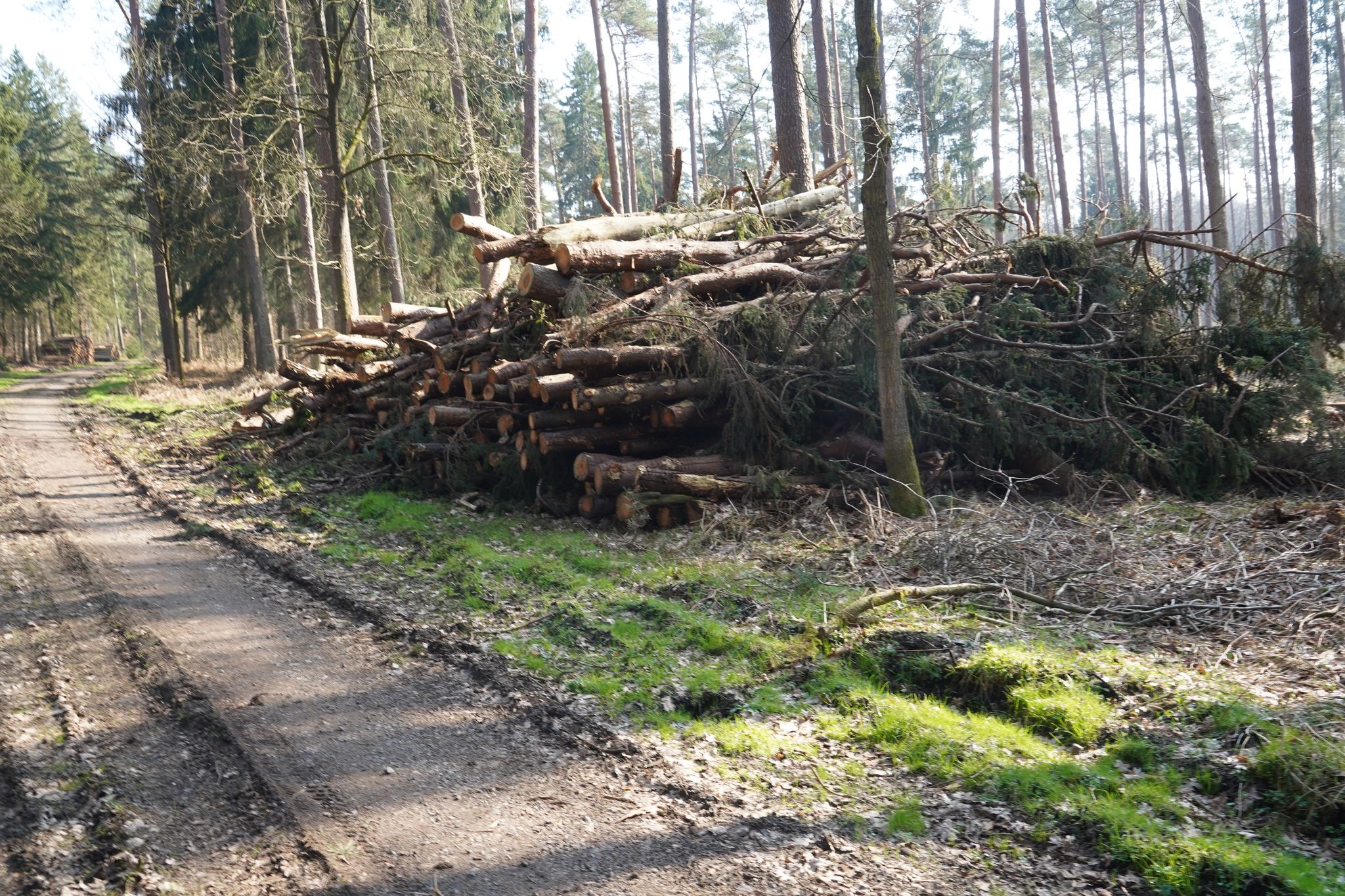 Holzberge