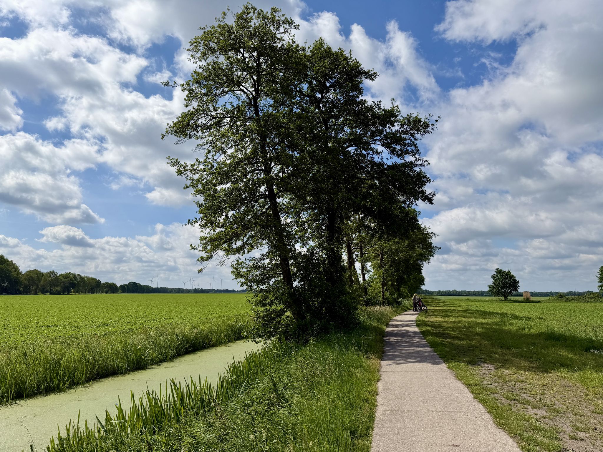 Radweg Richtung Bourtange 🇳🇱