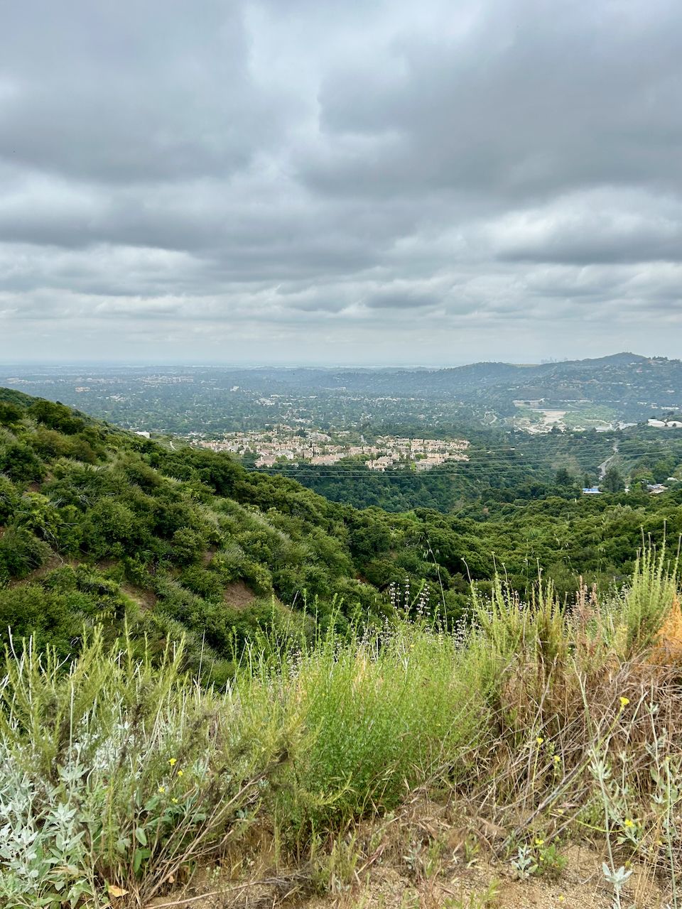 Overcast view of green hills overlooking a distant town under cloudy skies. - Wella's Peak – El Prieto Trail loop from Saint Francis High School
