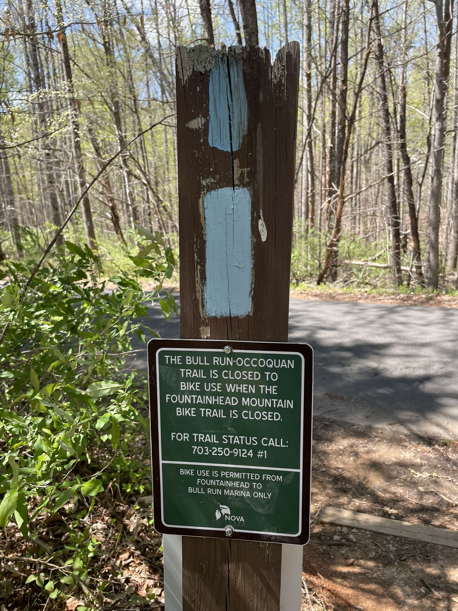 A wooden post with a blue trail marker and a green informational sign. - Buckhall to Fountainhead Regional Park