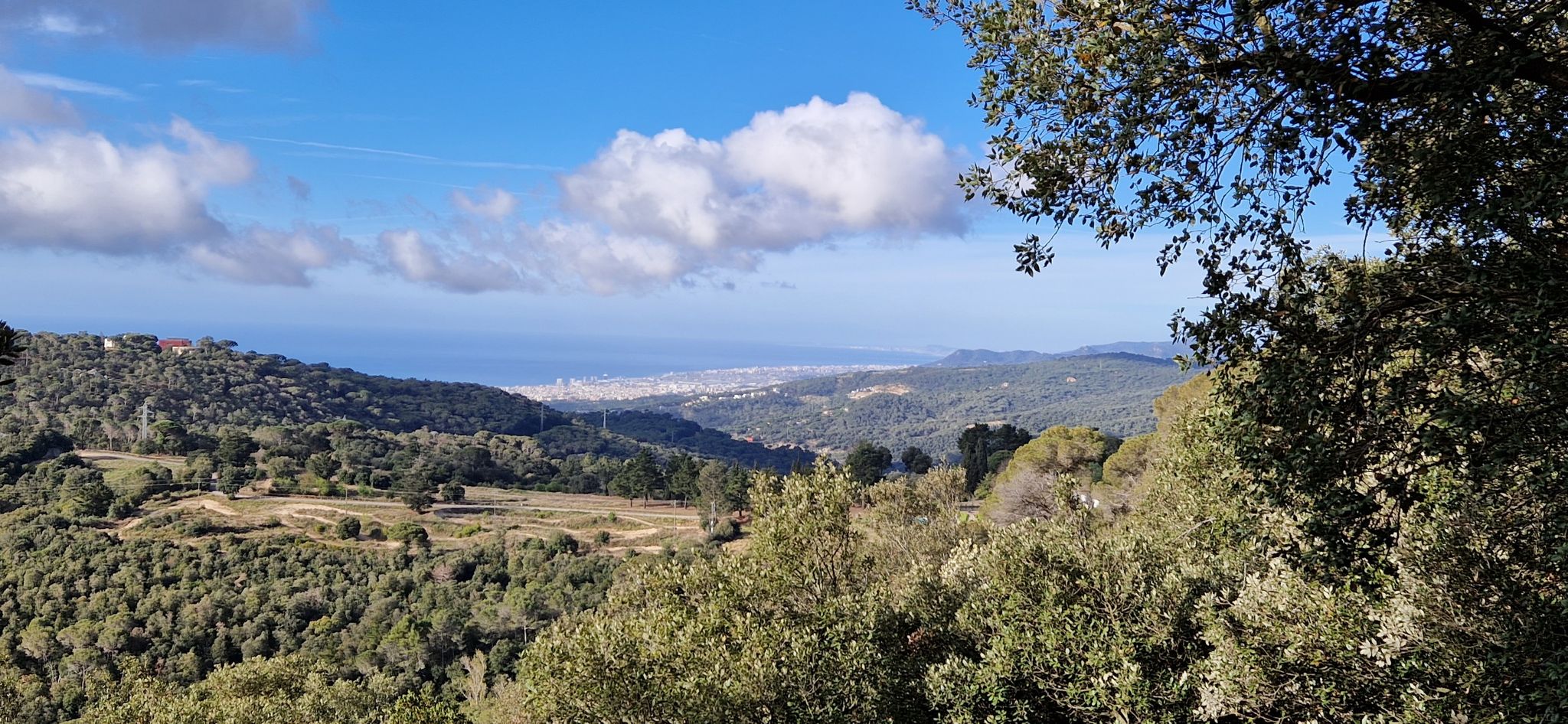 Mataro