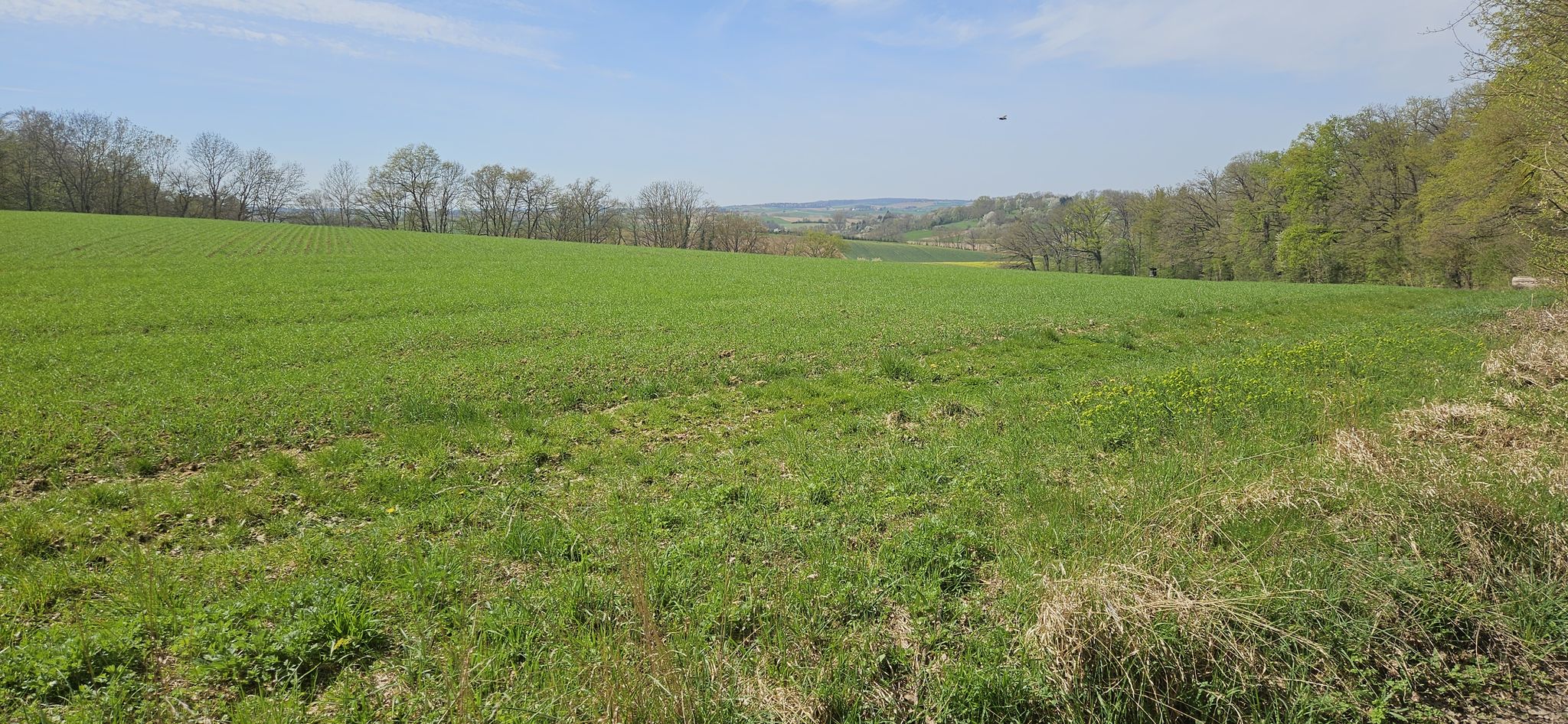 Kraichgau