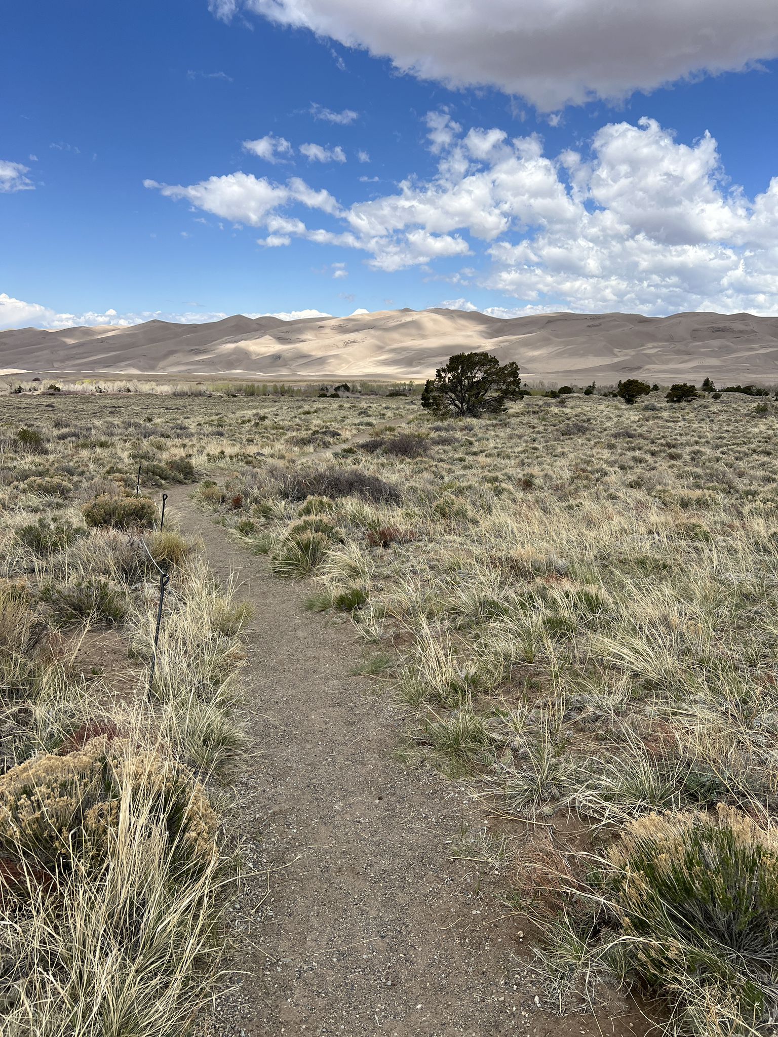 Dirt path through a dry grassy field leading to distant sand dunes under a cloudy sky. - Sand Sheet Loop