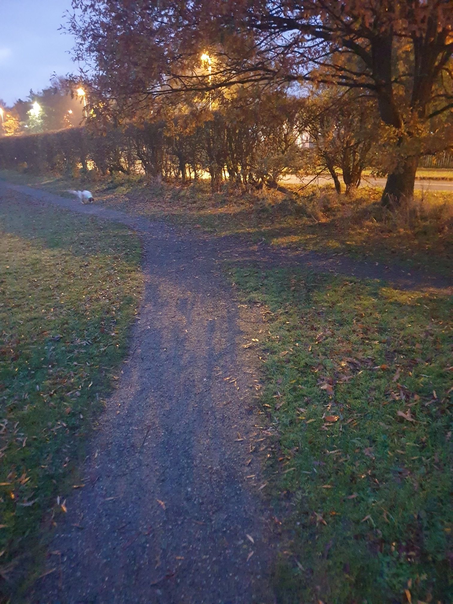 stay on the park path