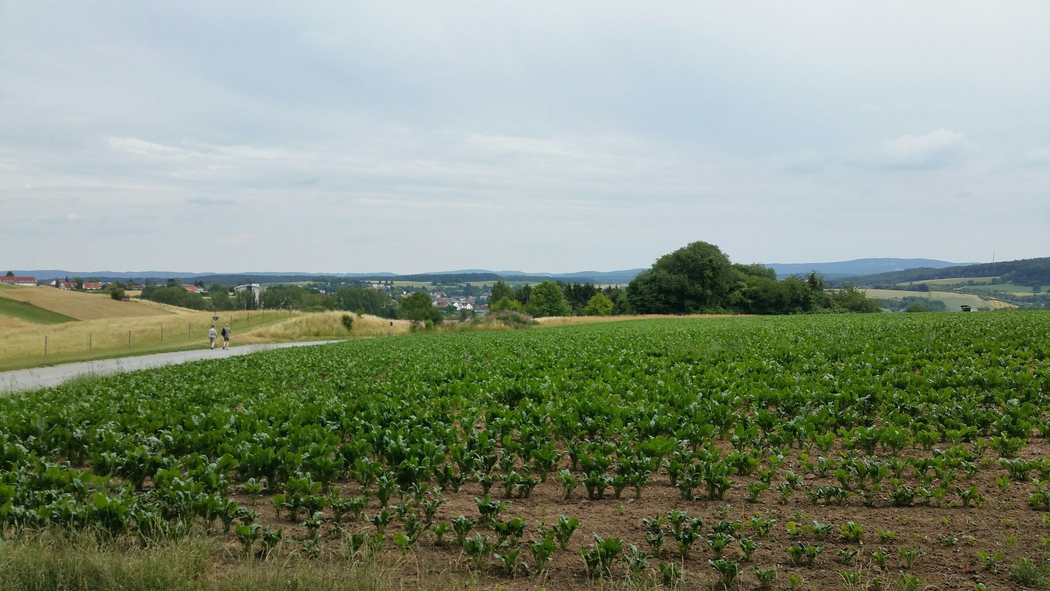 Oberhalb von Ober Ramstadt
