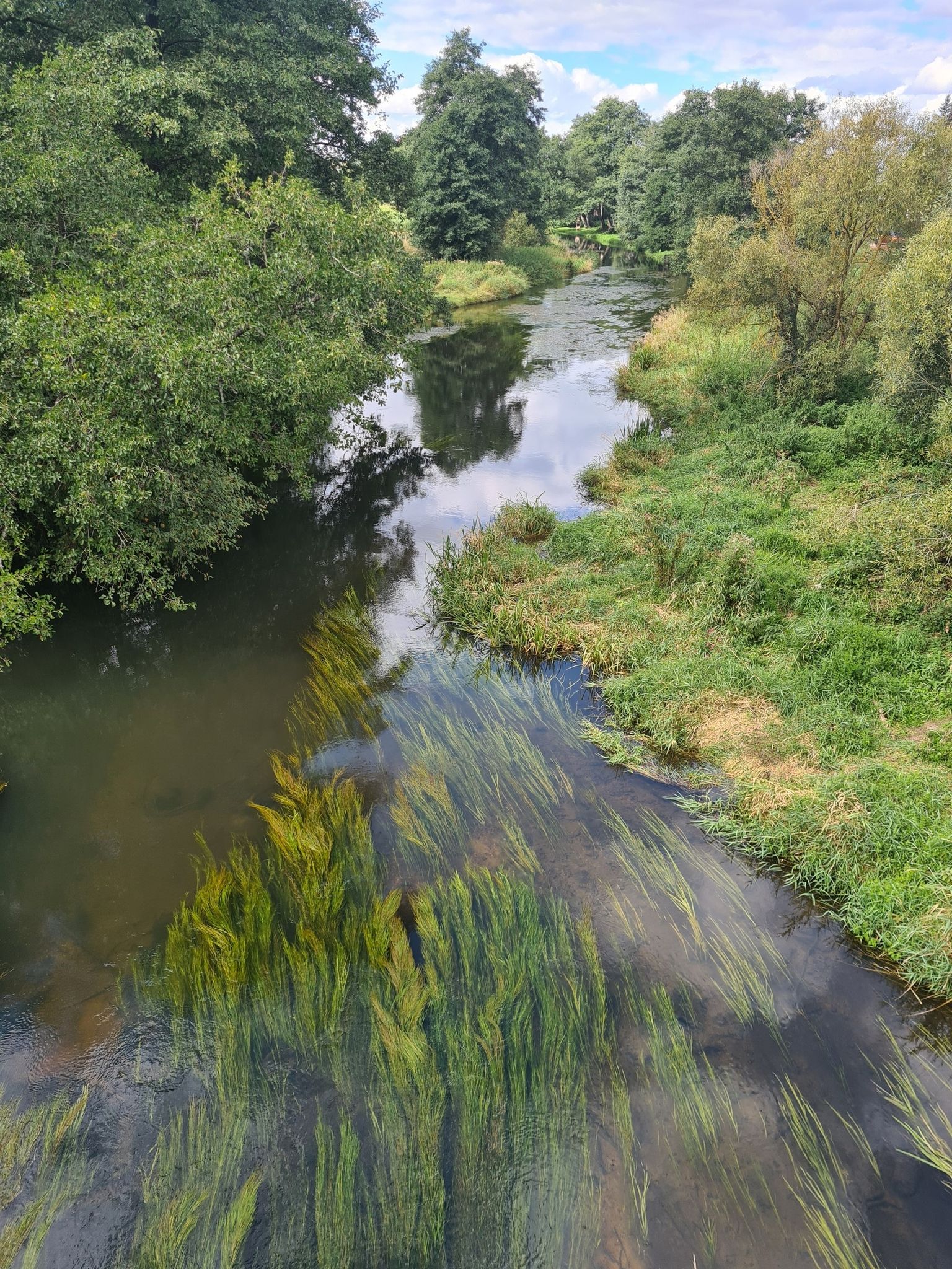 Merkys