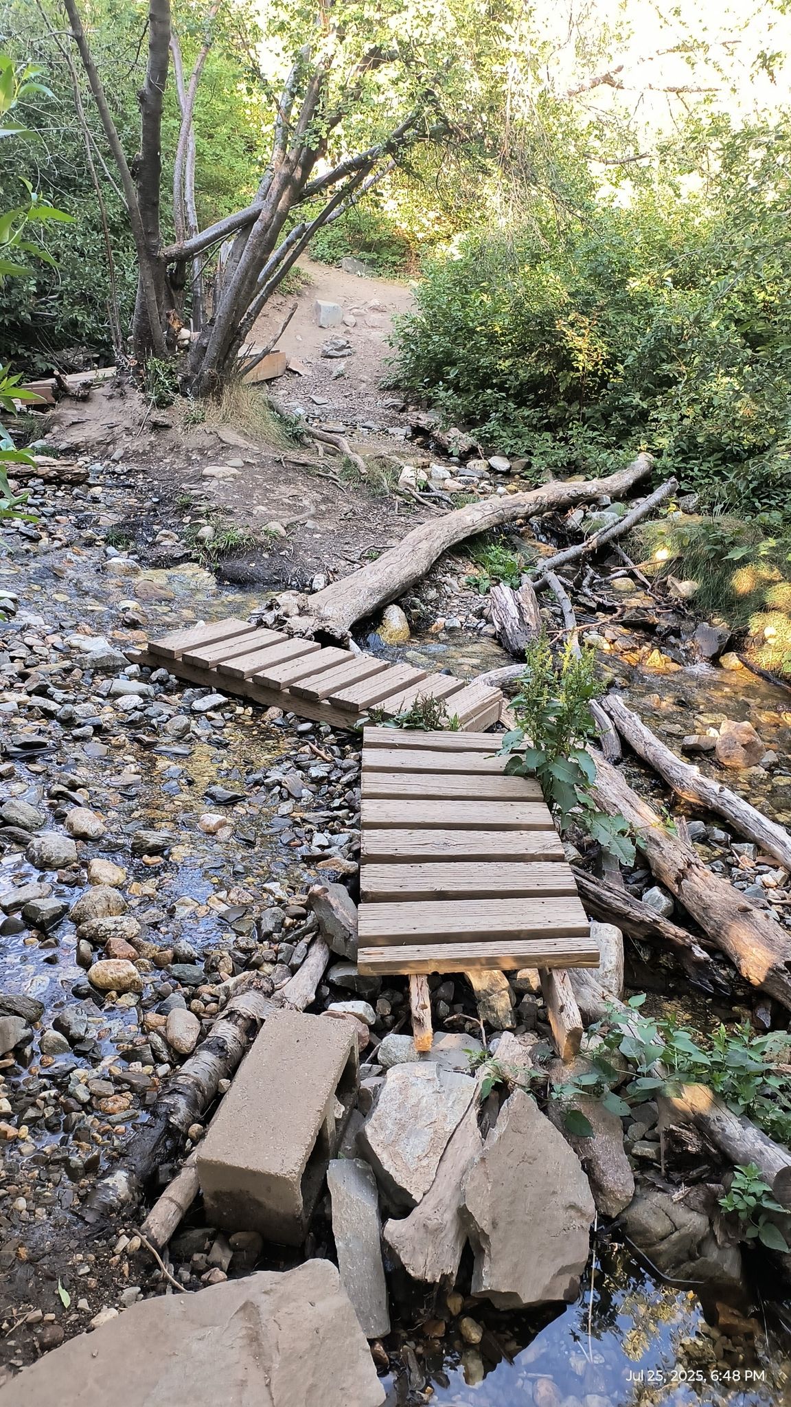 bridge 1