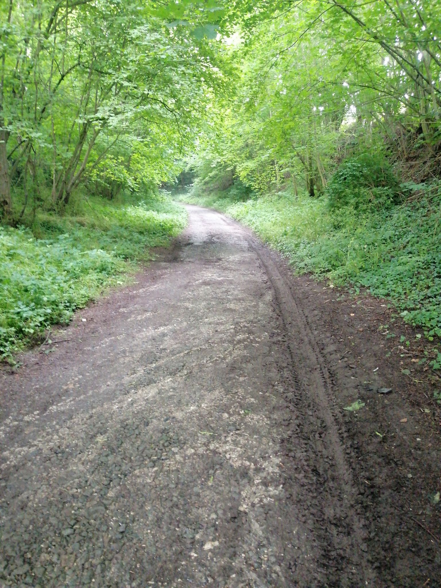 vaucelles