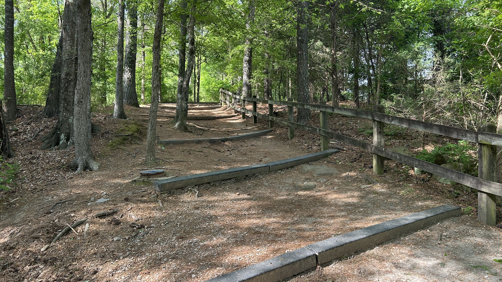 A dirt path with wooden steps and railing winding through a sunny forest. - Neuse River and Abbotts Creek Trail Loop