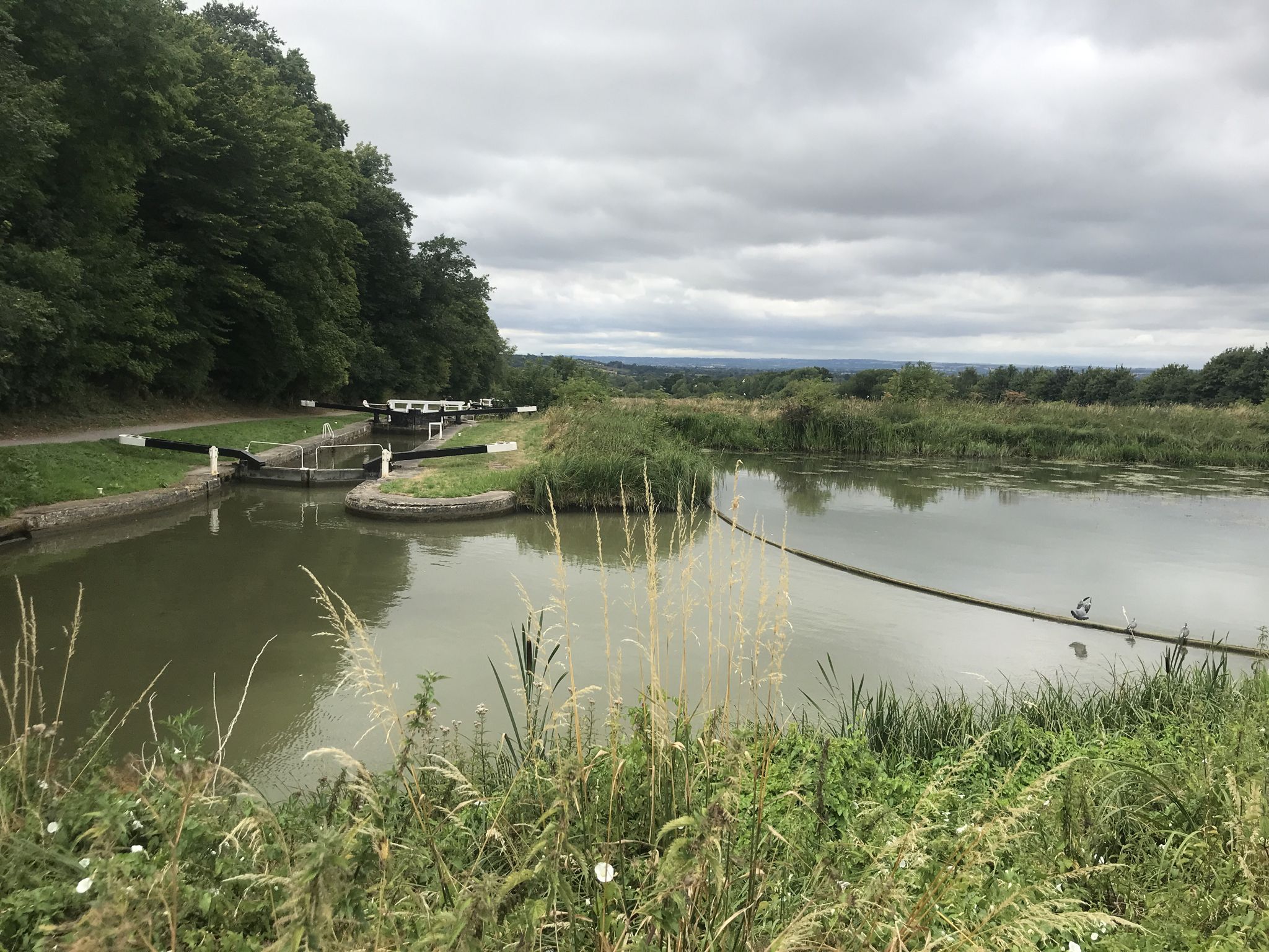 Caen Hill Locks – Canal Towpath Cycle Route loop from Rowde | ride | Komoot