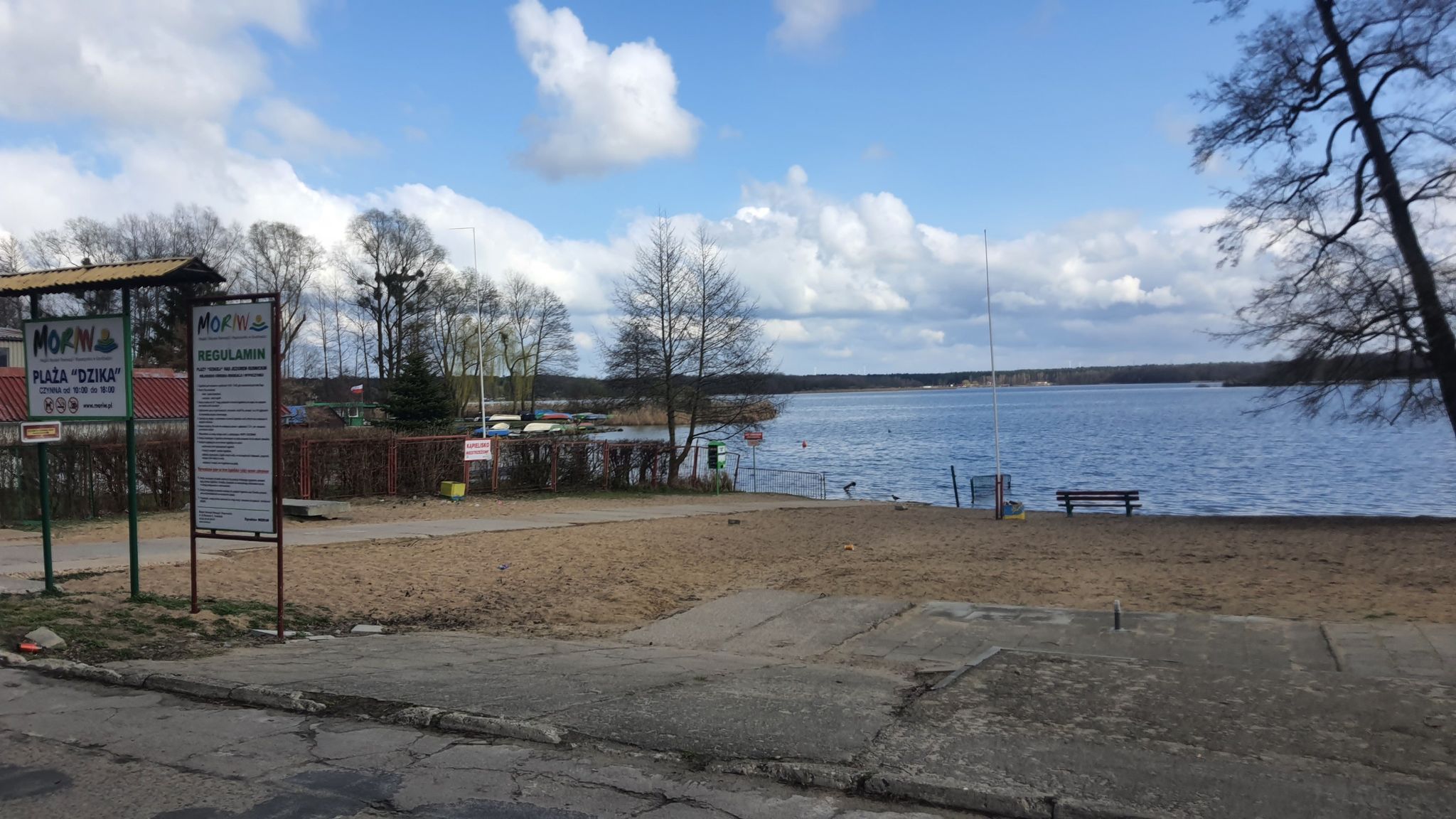 plaża dzika