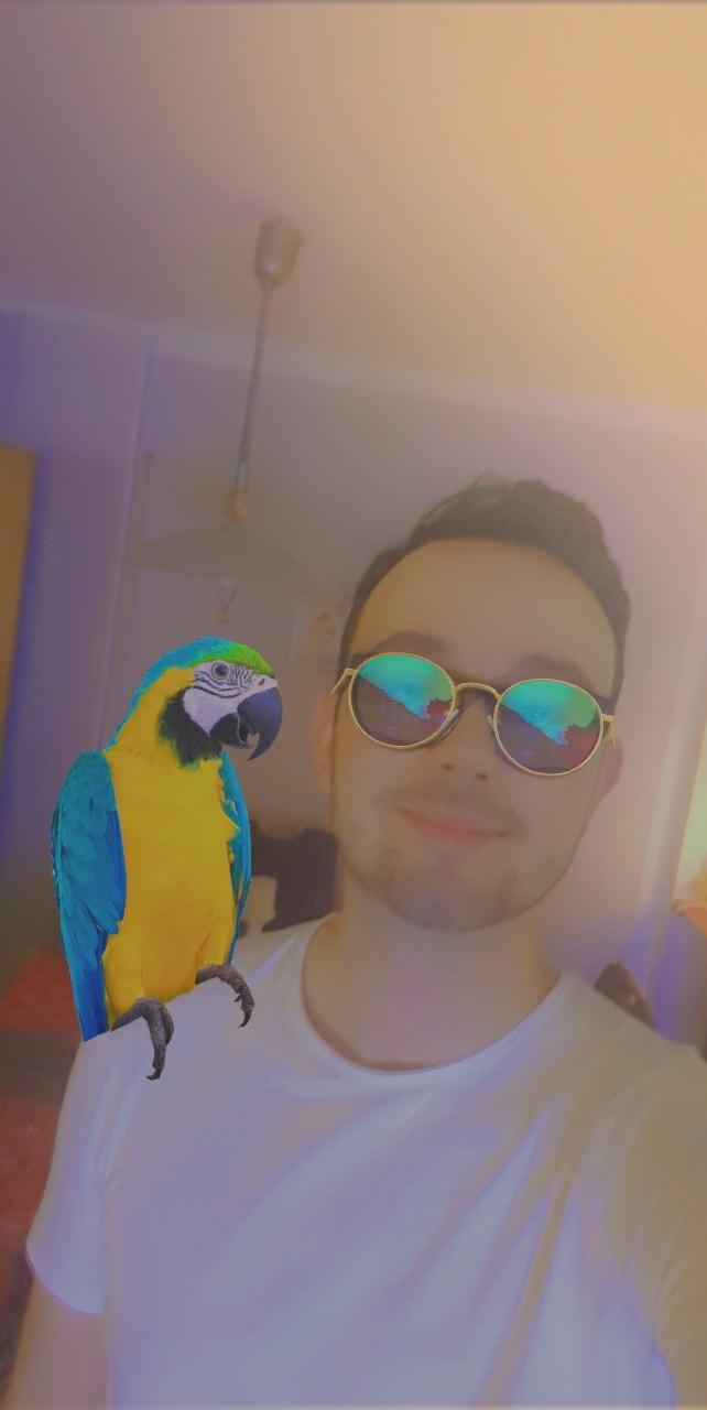 user avatar