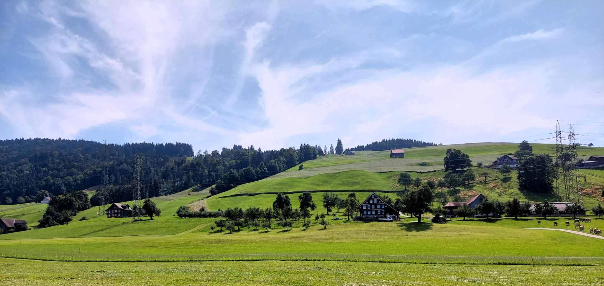 Blick Rtg. Etzel
