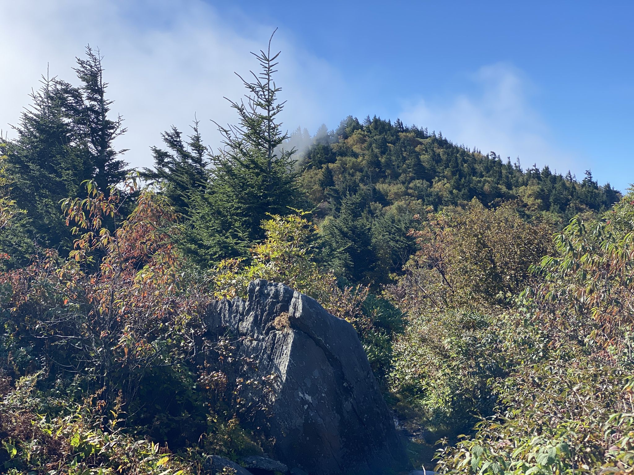 A large rock formation amidst dense green and autumn-colored forest under a cloudy sky. - Celo Knob via Colbert Ridge and Black Mountain Crest Trails