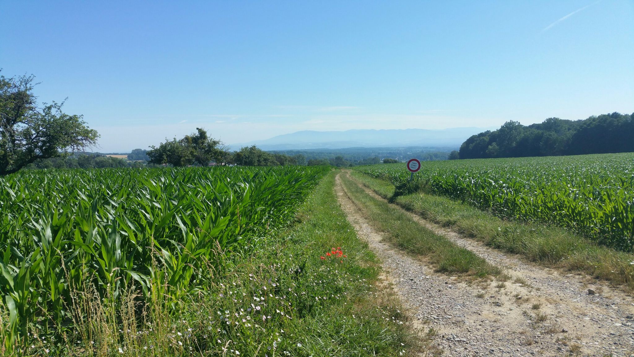 Blick Richtung Weil