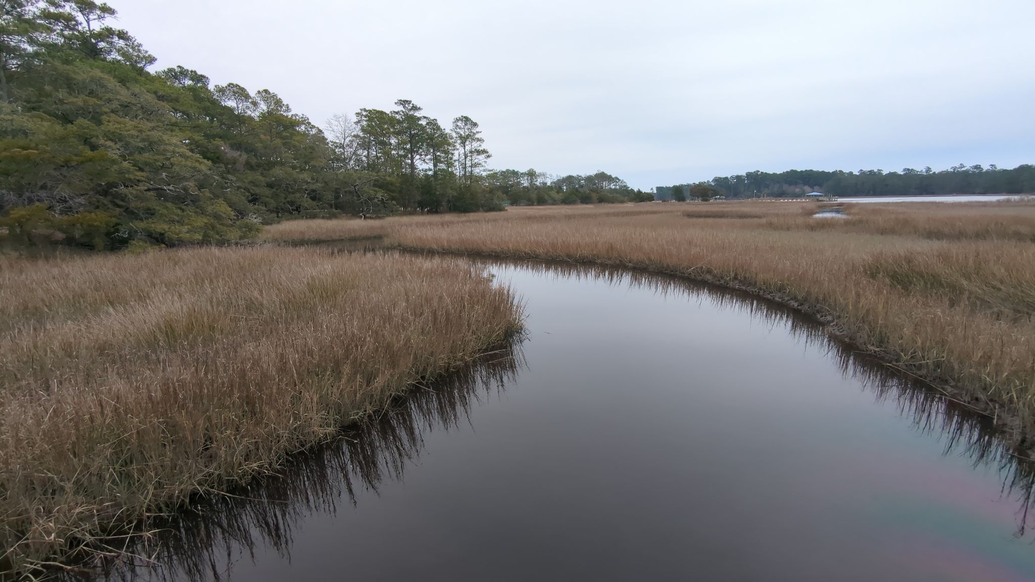 Winding dark water channel through tall, dry marsh grass and distant trees. - Vereen Memorial Gardens loop