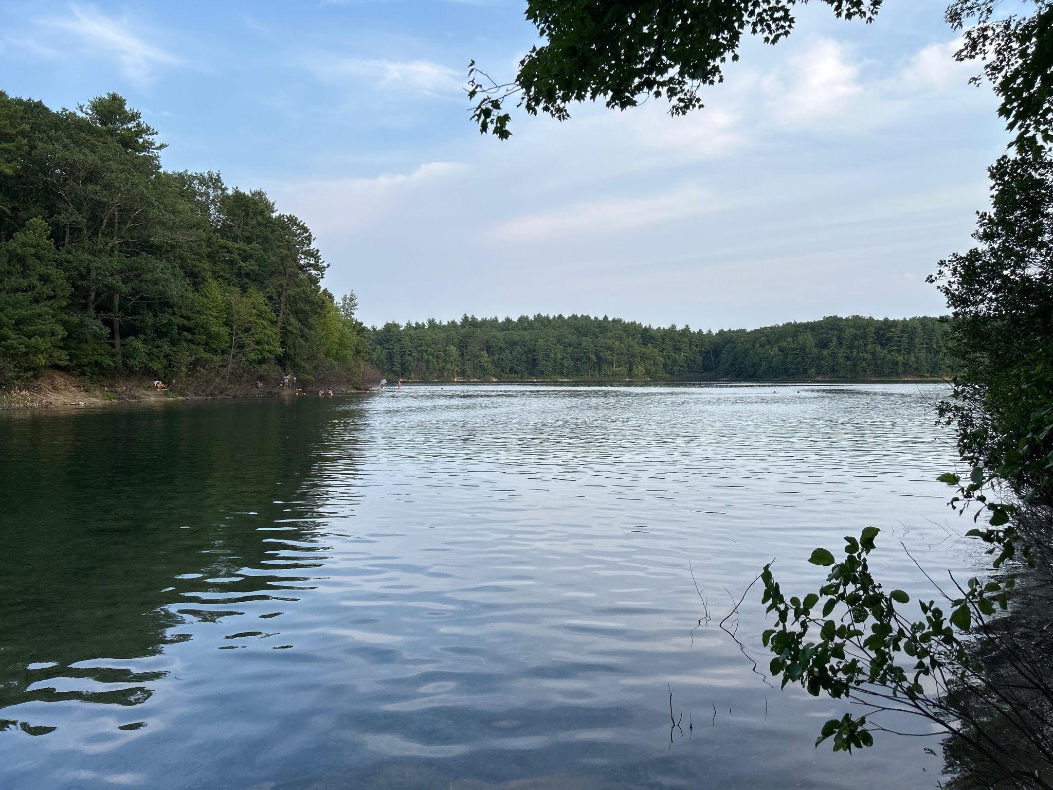 Calm lake surrounded by green trees, framed by foreground branches. - Walden Pond & Wright Woods Loop – Walden Pond State Reservation