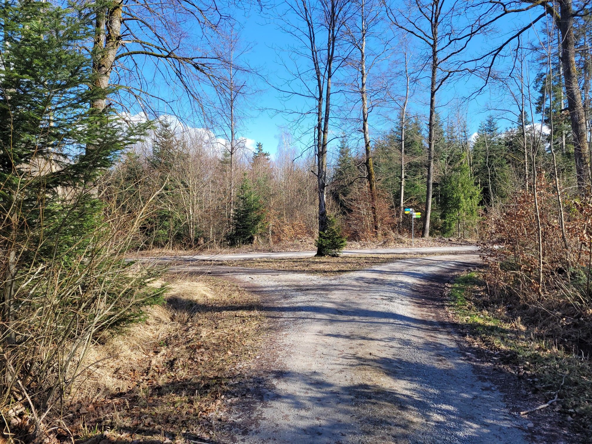 links auf die Kohlwaldstraße