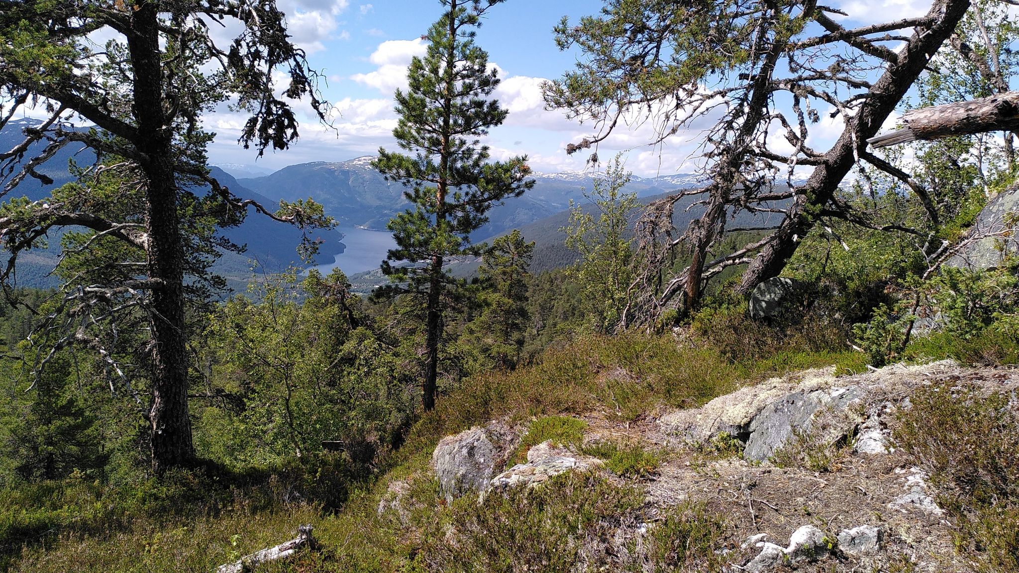 Blick auf Songne