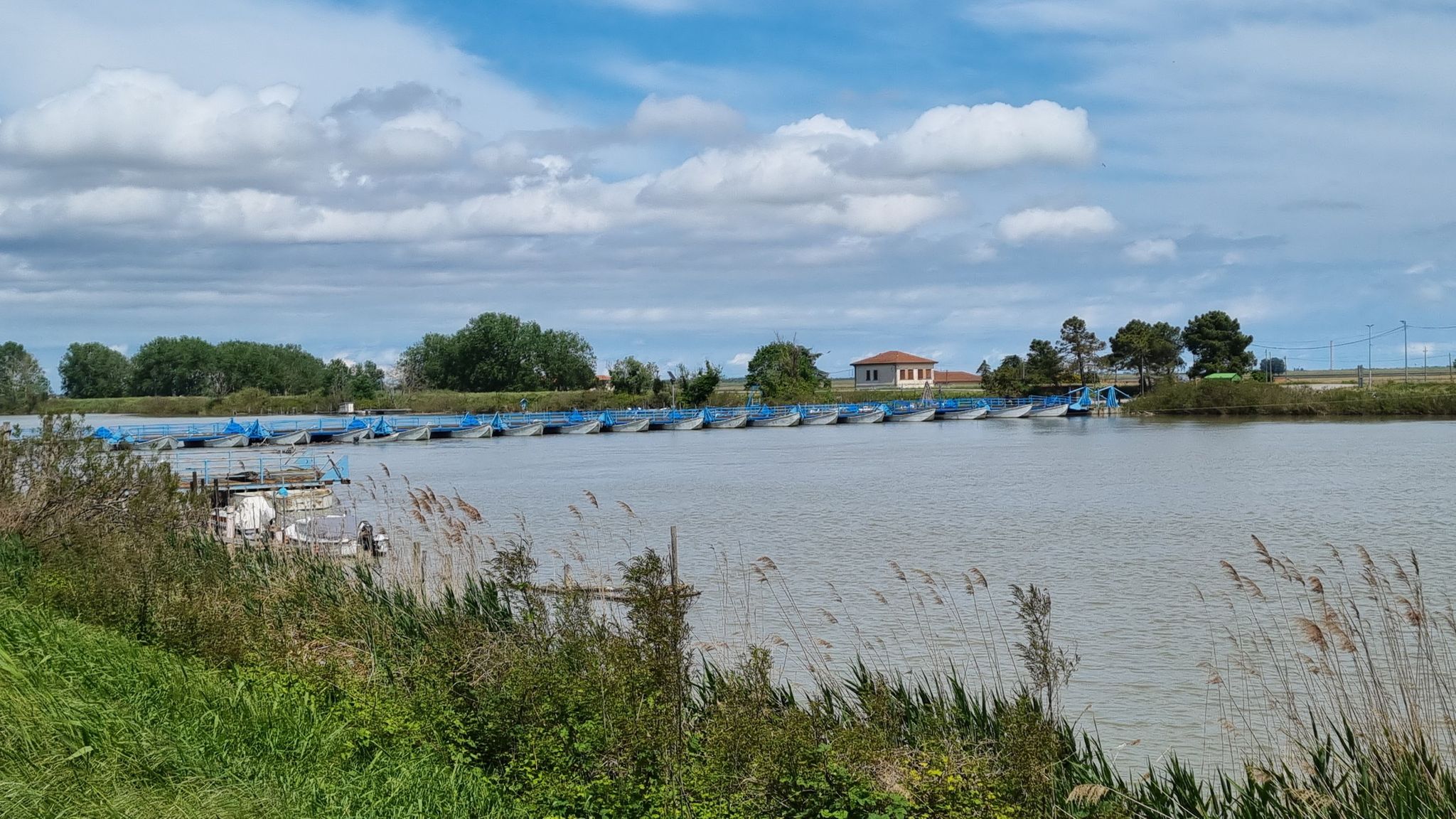 Ponte Barche Po di Gnocca o Donzella
