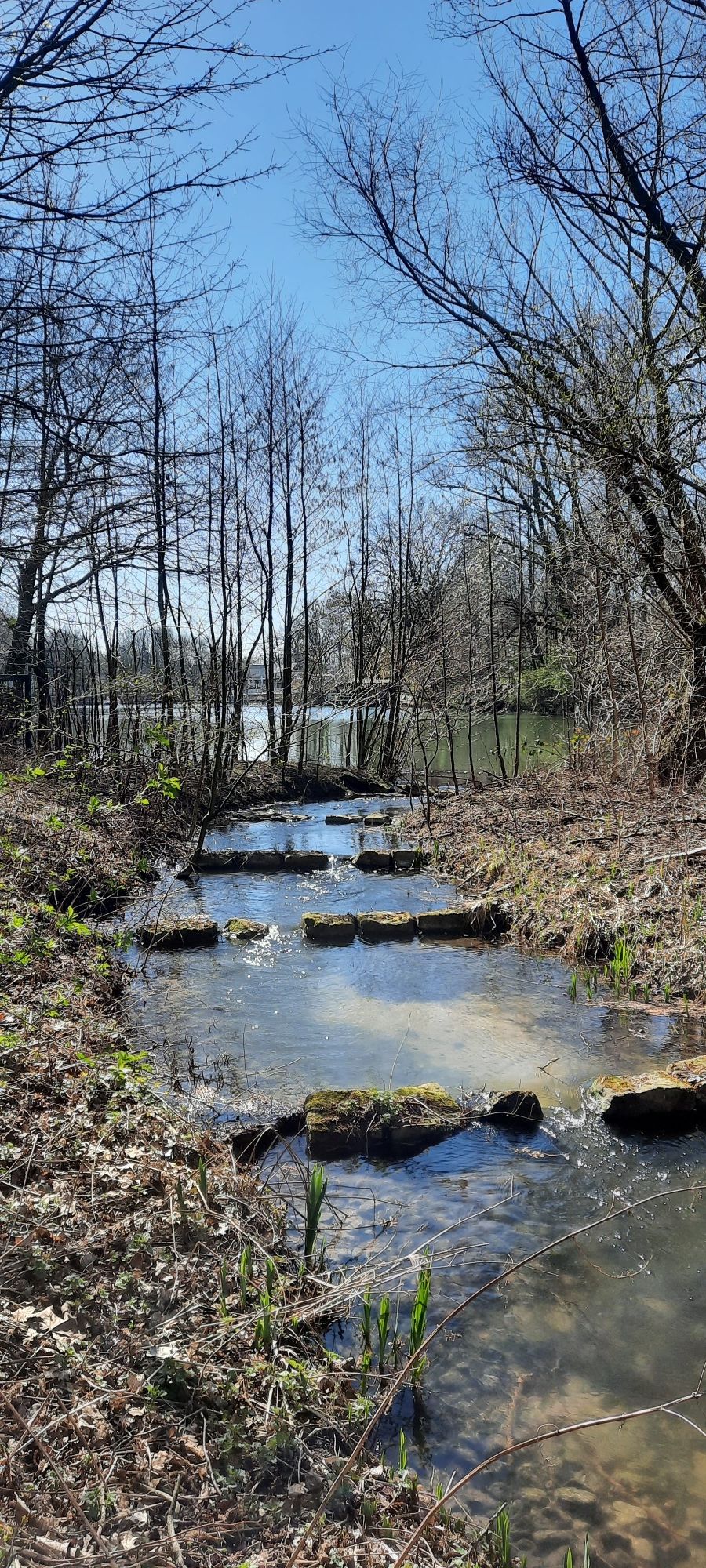 Bettenkamper Meer
