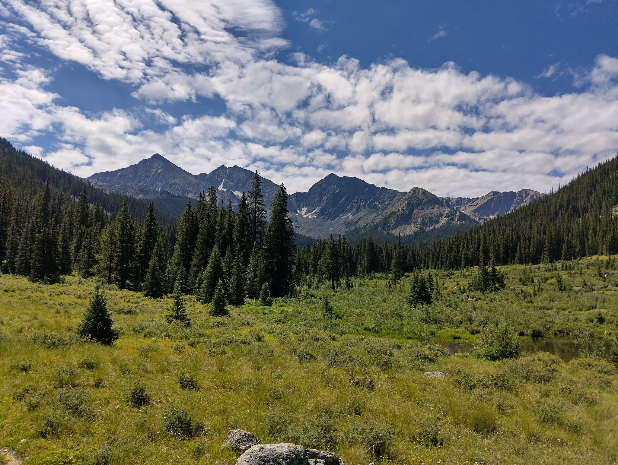 Expansive green meadow and pine forest beneath majestic, rugged mountains. - Lake Ann Trail