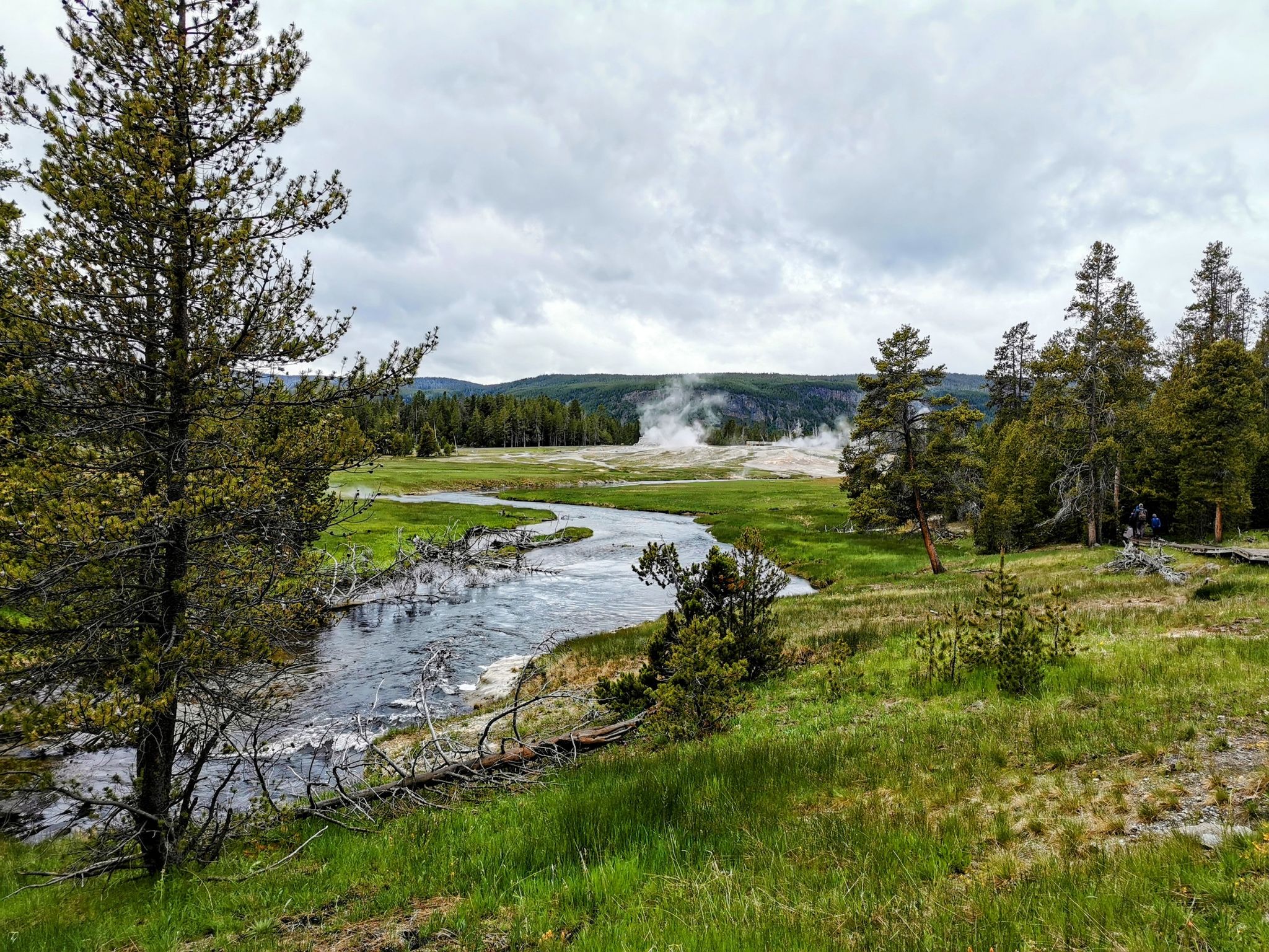 A river flows through a green meadow with steaming geysers under a cloudy sky. - Upper Geyser Basin Trail