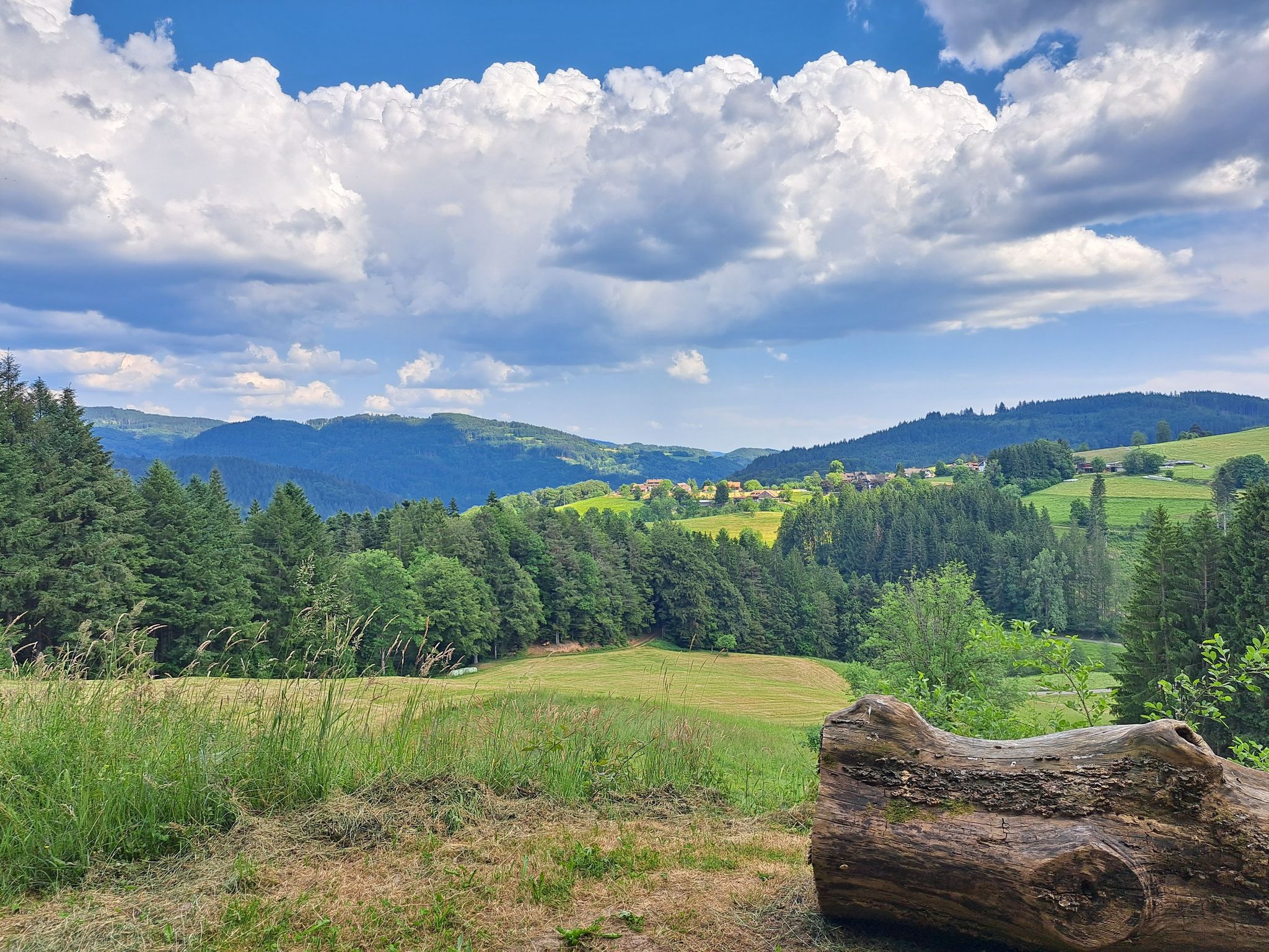 Ausblick auf Sallneck