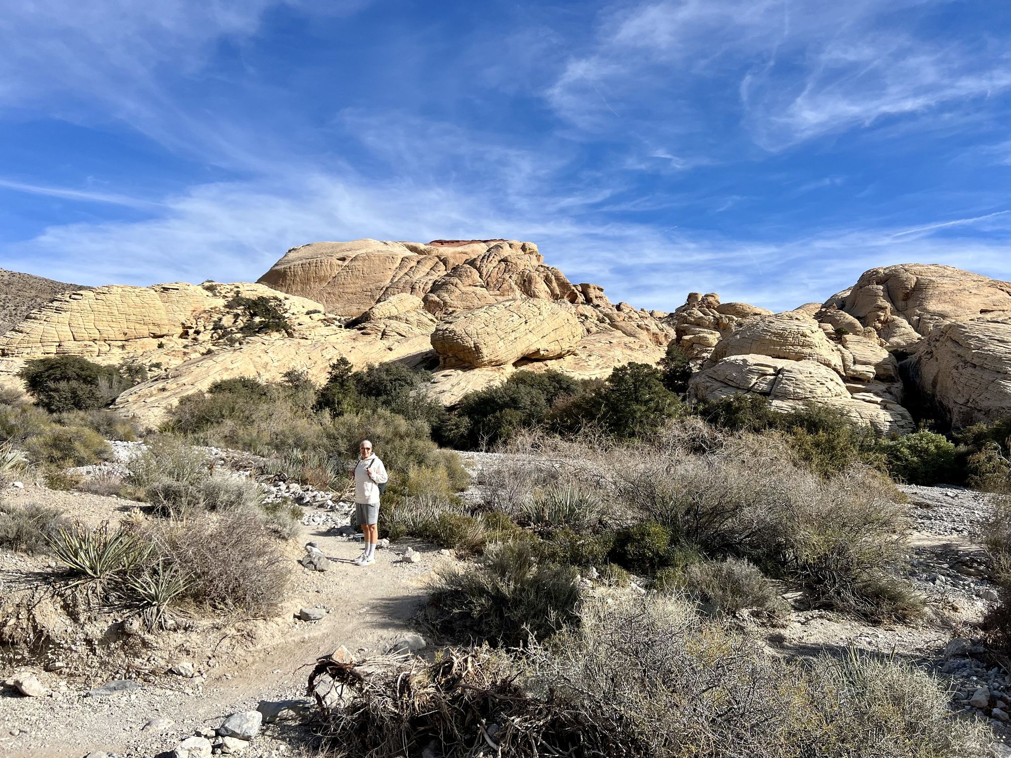 Person stands on a desert trail with large rock formations under a clear sky. - Calico Tanks Trail