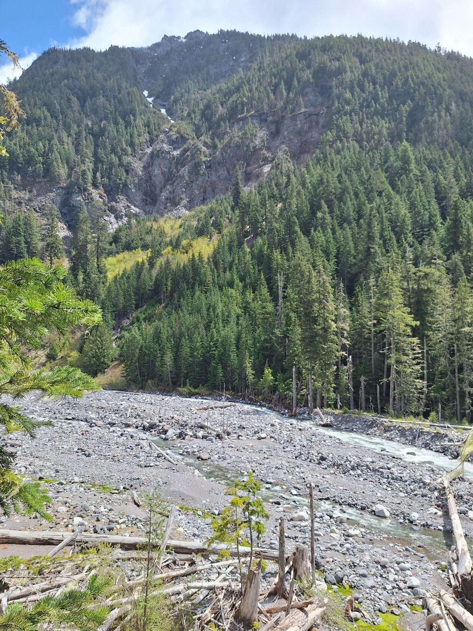 Steep forested mountain overlooks a wide rocky riverbed with a flowing river. - Wonderland Trail: Longmire to Cougar Rock Campground