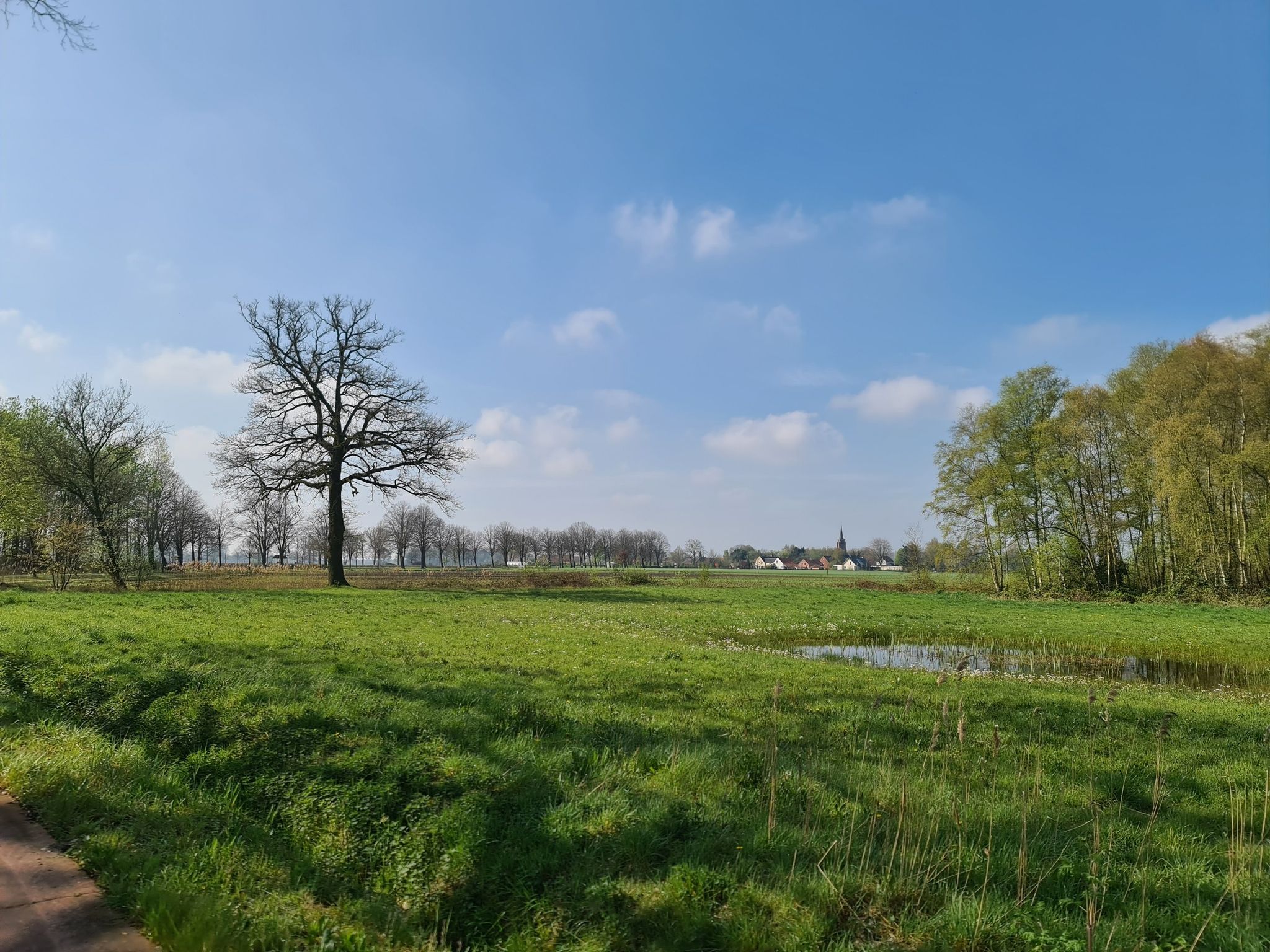 zicht op Zondereigen