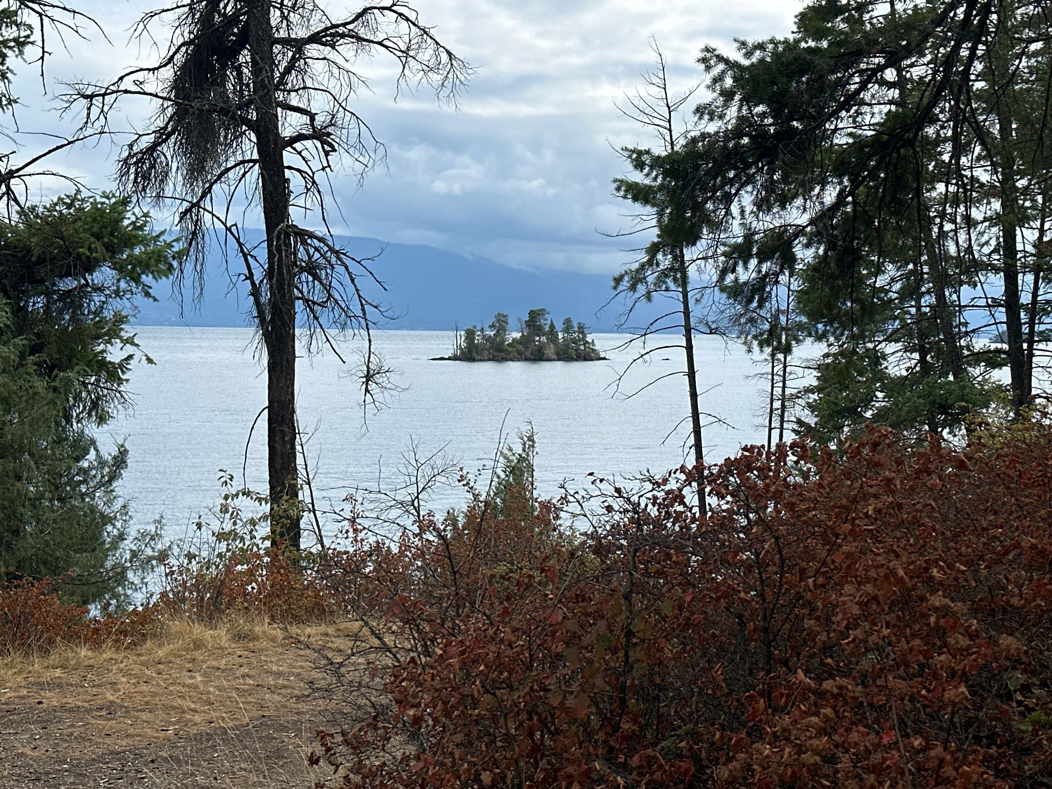 Overcast view of a lake with a small island, framed by trees. - Flathead Lake State Park West Shore Loop