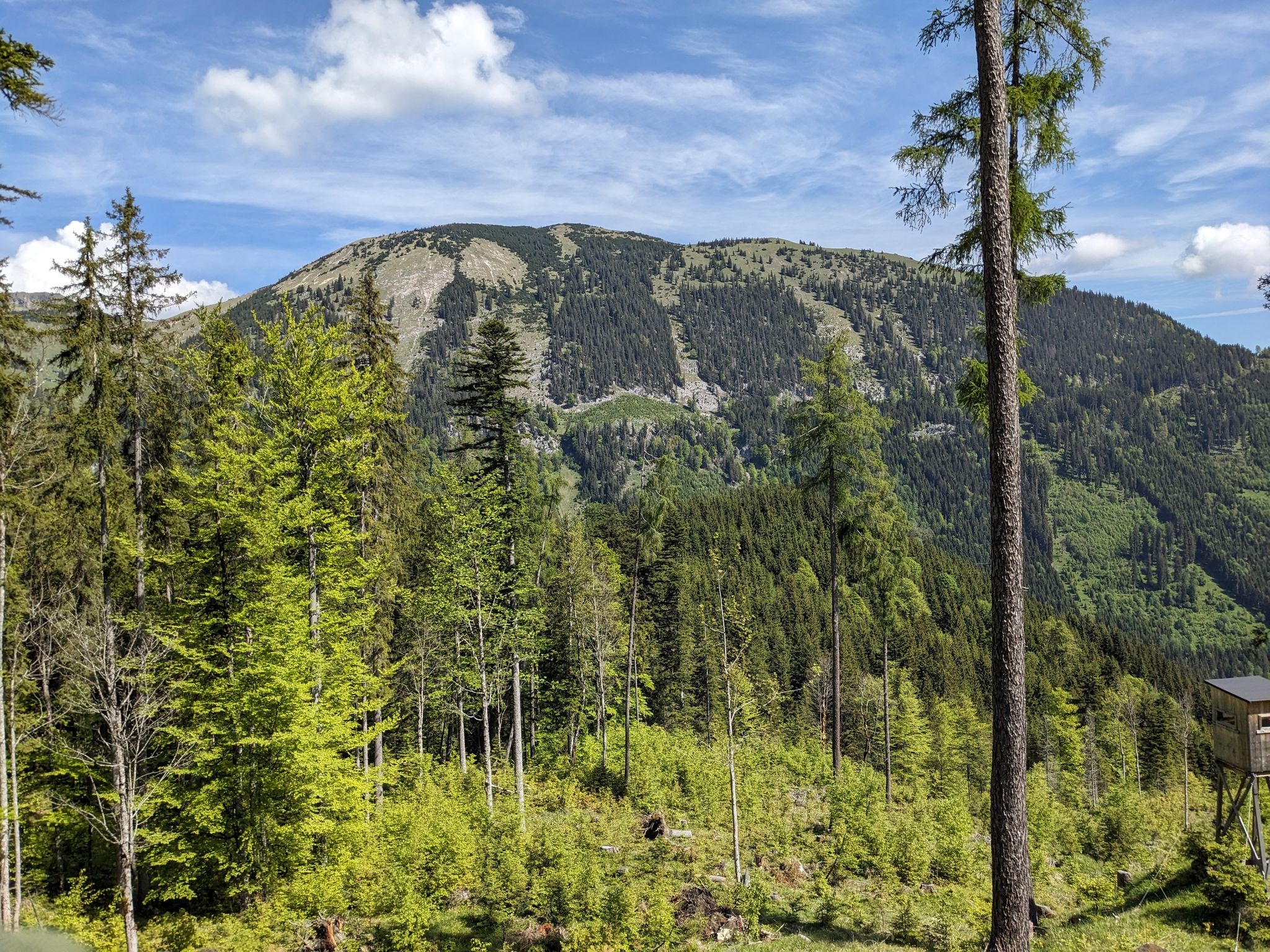 Auf dem Weg nach Thiersee / Landl