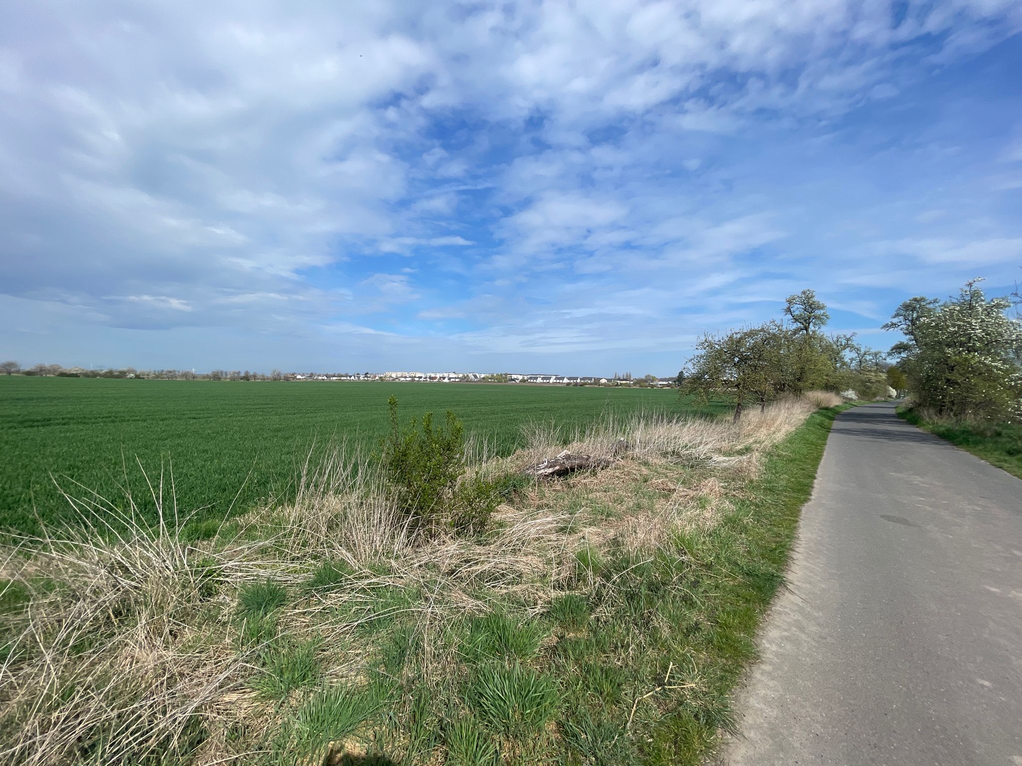 Asphaltierter Feldweg Richtung B5 / Nauen, dessen Stadtrandsiedlung in der Ferne bereits erkennbar ist.