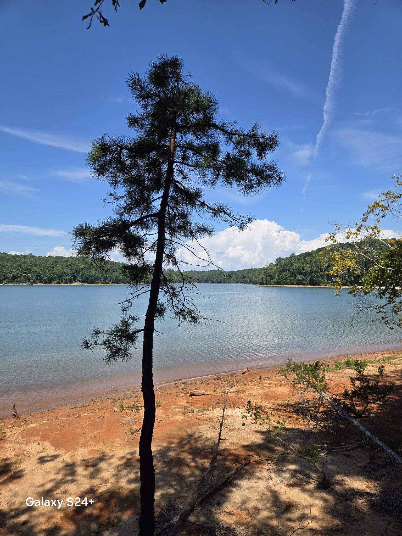Lake hartwell