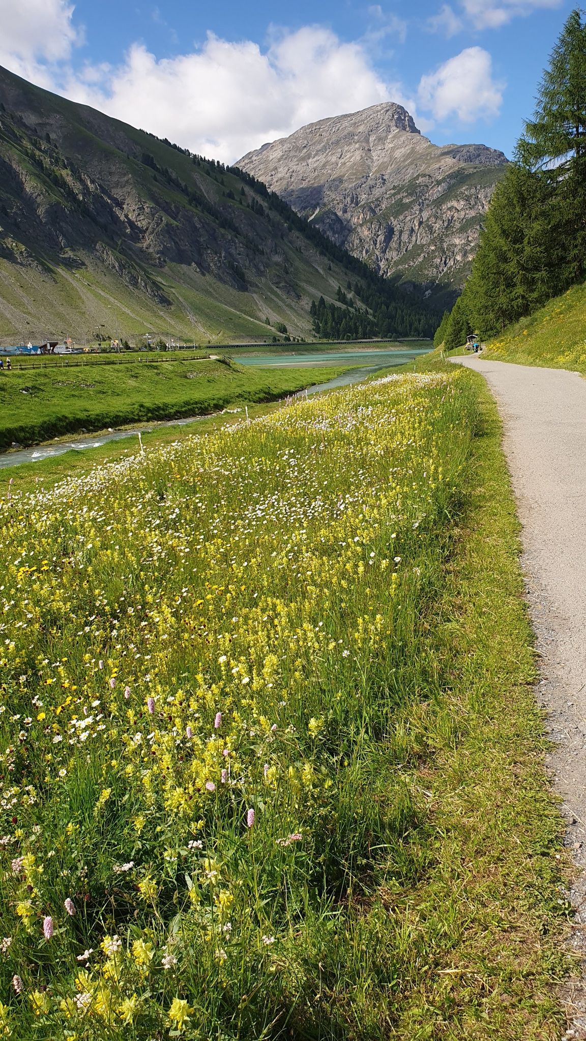 Blich zurück auf unseren Weg