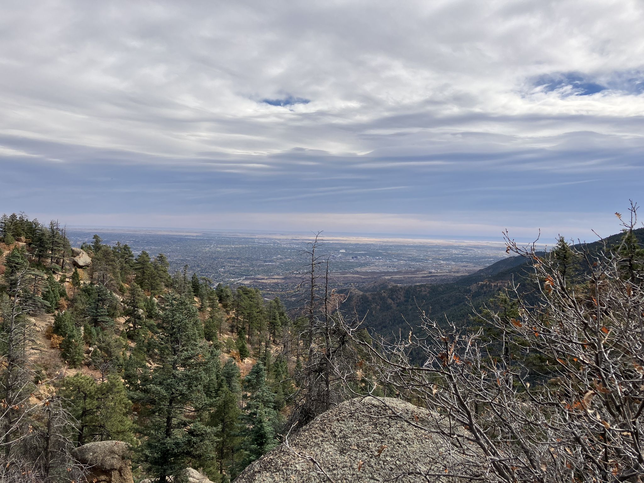 Overcast sky above a vast valley seen from a pine-covered mountain slope. - Pikes Peak via Barr Trail