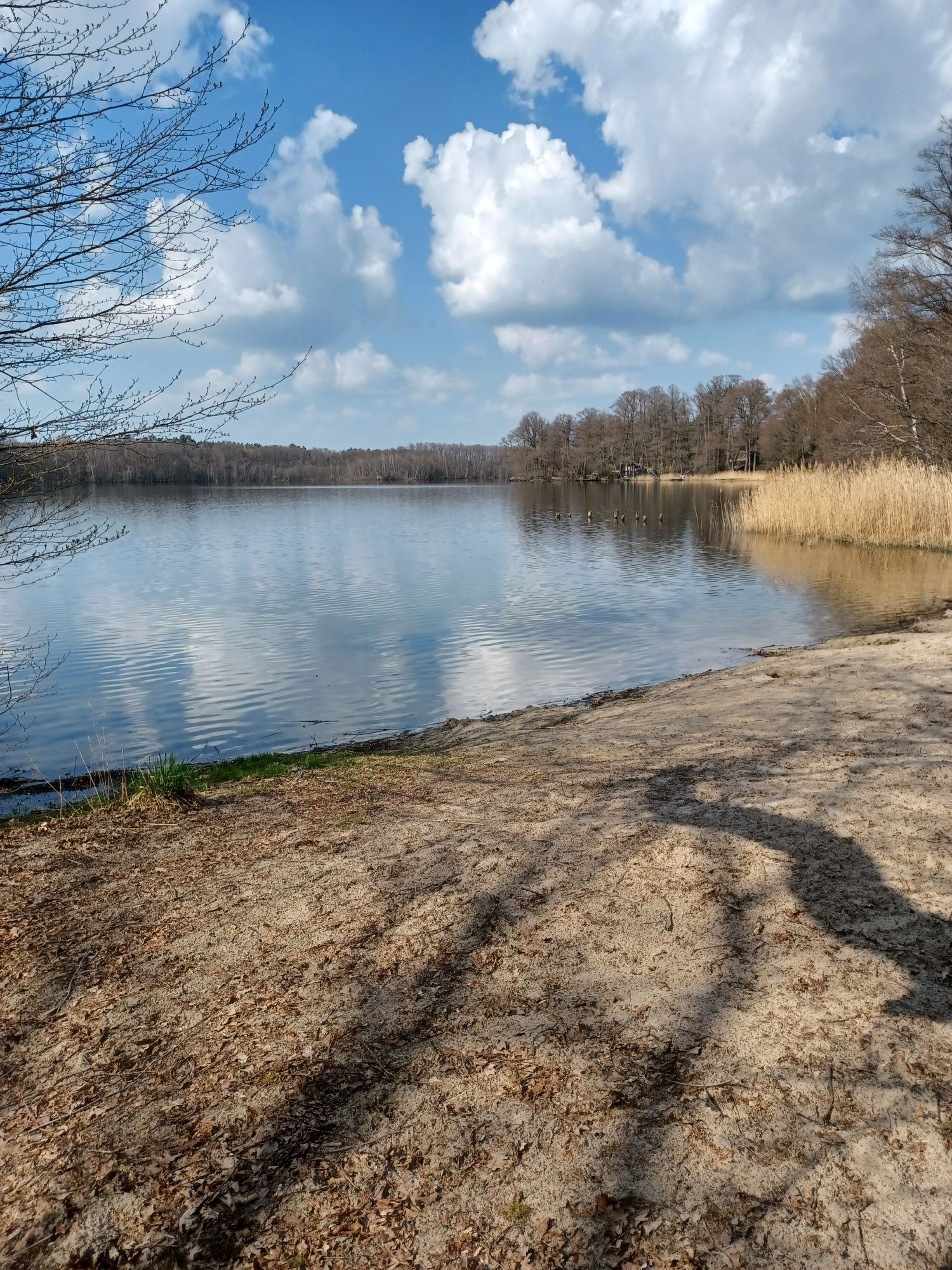 Der große Zeschsee