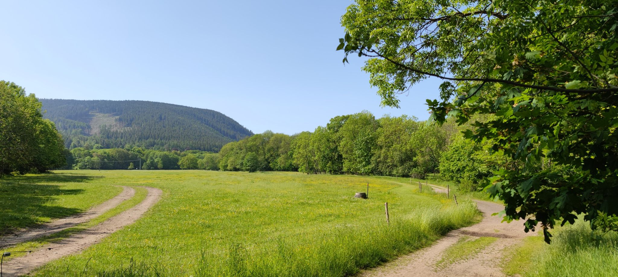 Der Beginn der Strecke mit dem Weg und dem Grün, hat sich schon einmal gelohnt...