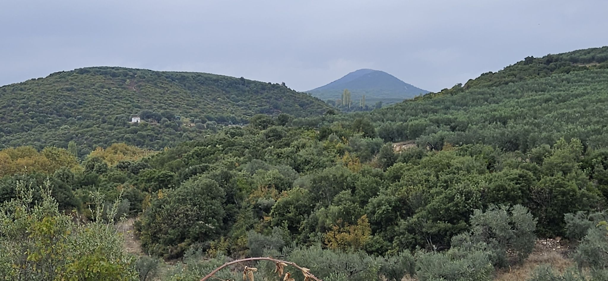 Kapelle von der Hauptstrasse aus gesehen