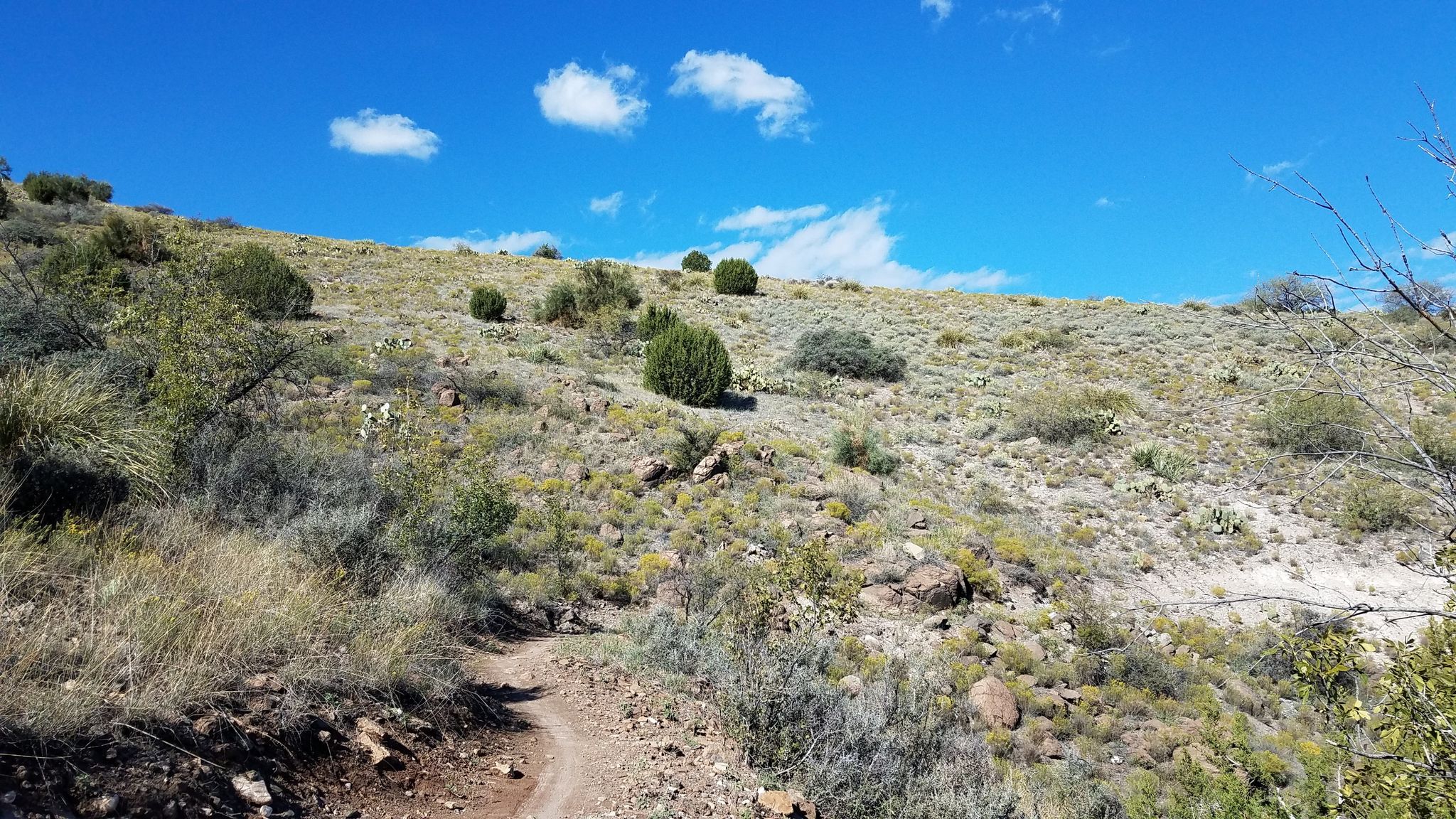 A winding dirt trail ascends a dry, rocky hillside under a bright blue sky. - Bullseye and Campus Trail Loop