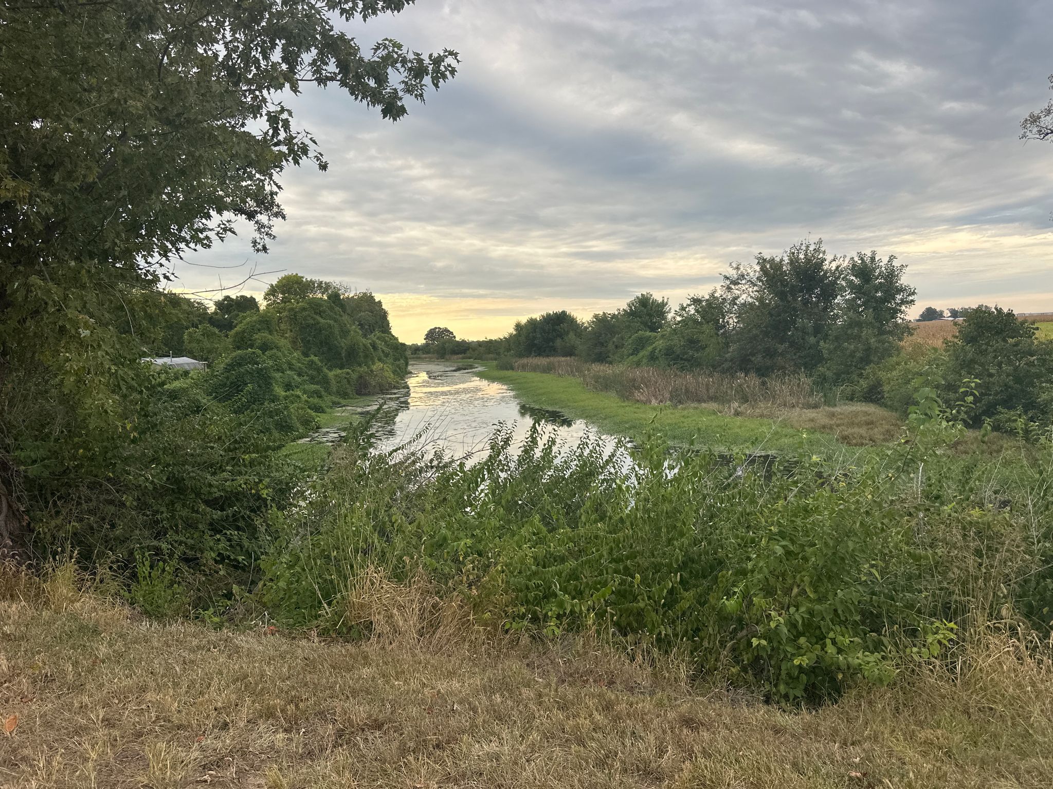 Narrow river winding through dense green foliage under a cloudy sky. - Horseshoe Lake loop from Granite City
