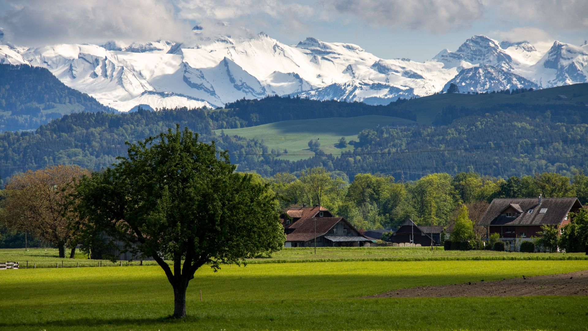 Schwyzer Alpen