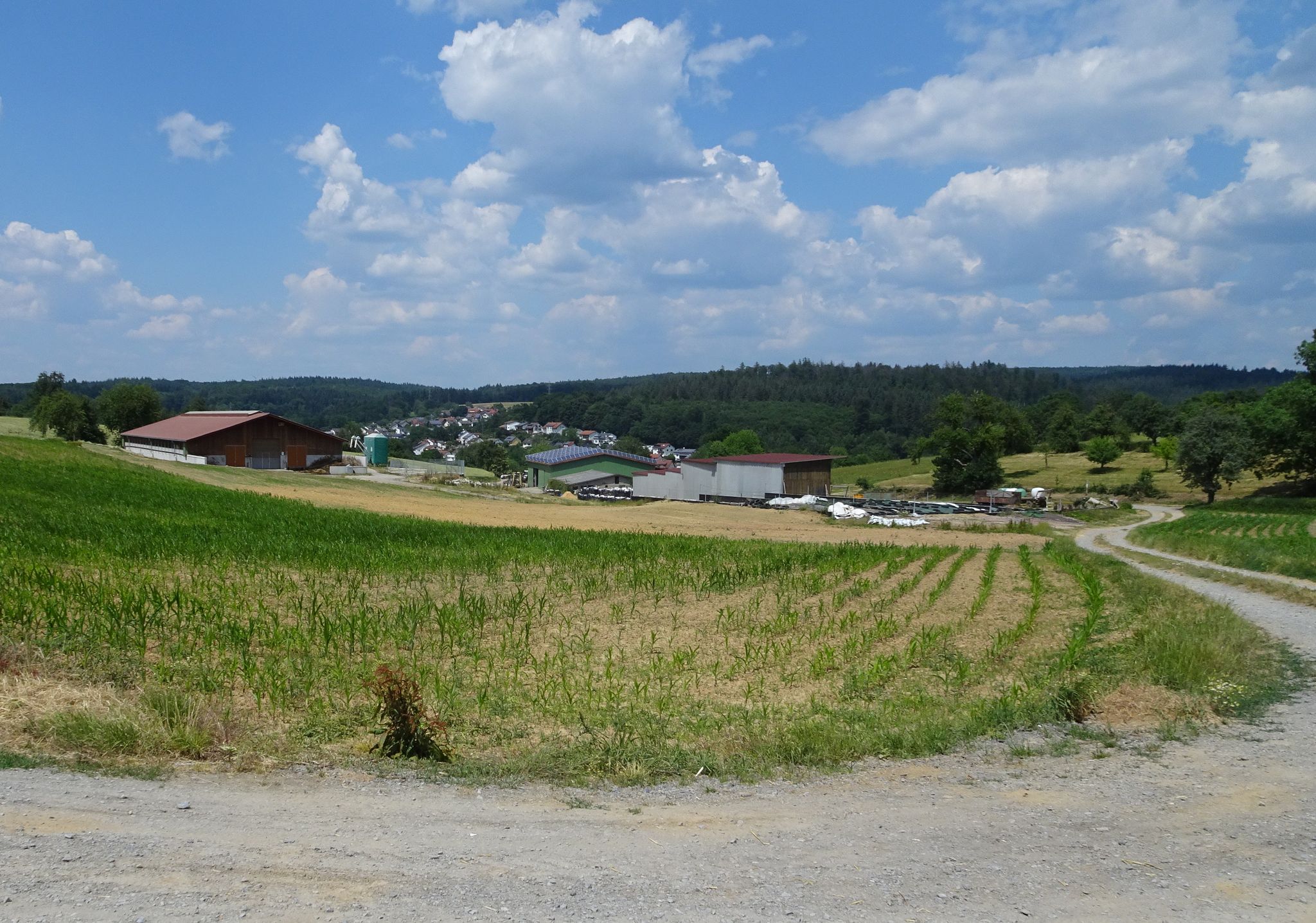 am Hackenberg