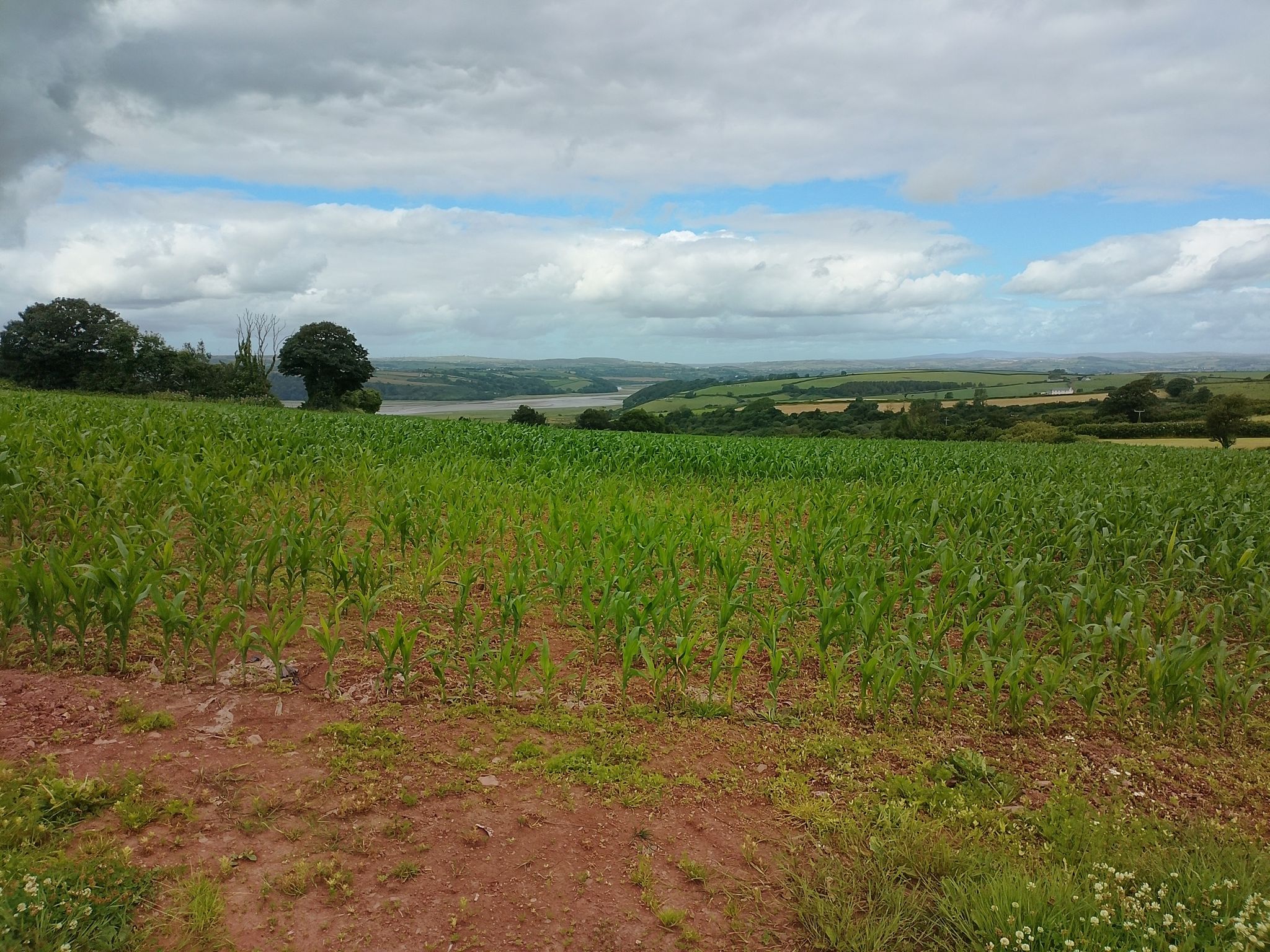 View of Taf estuary 