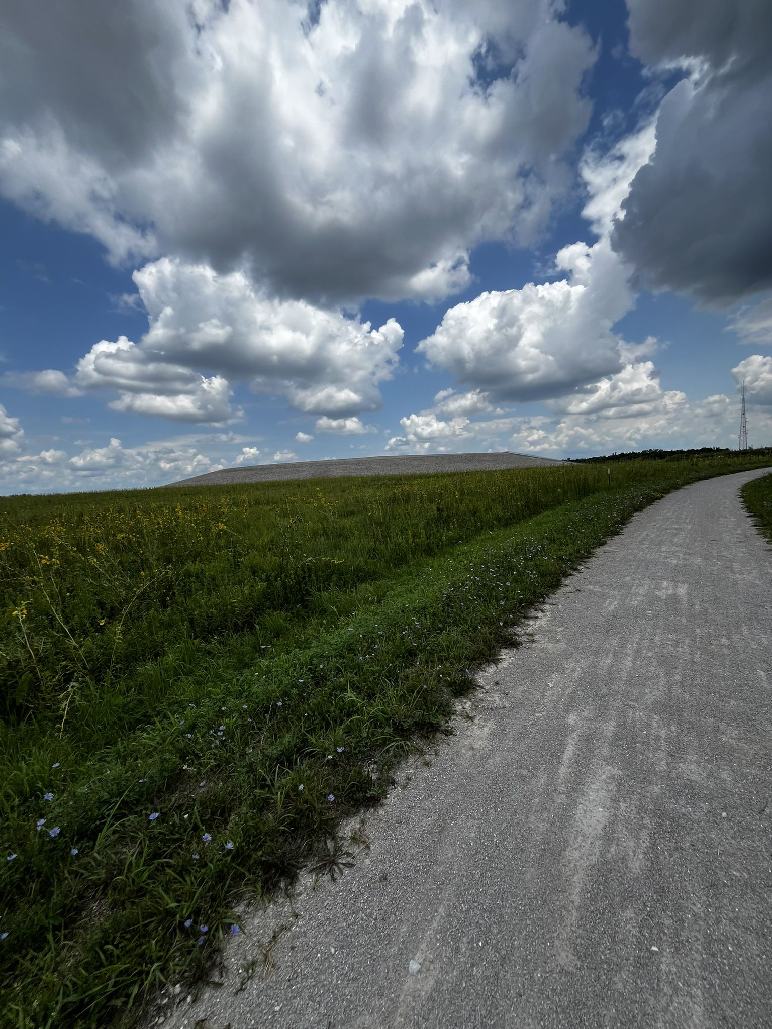 A gravel path curves through a green field under a cloudy blue sky. - Hamburg Trail