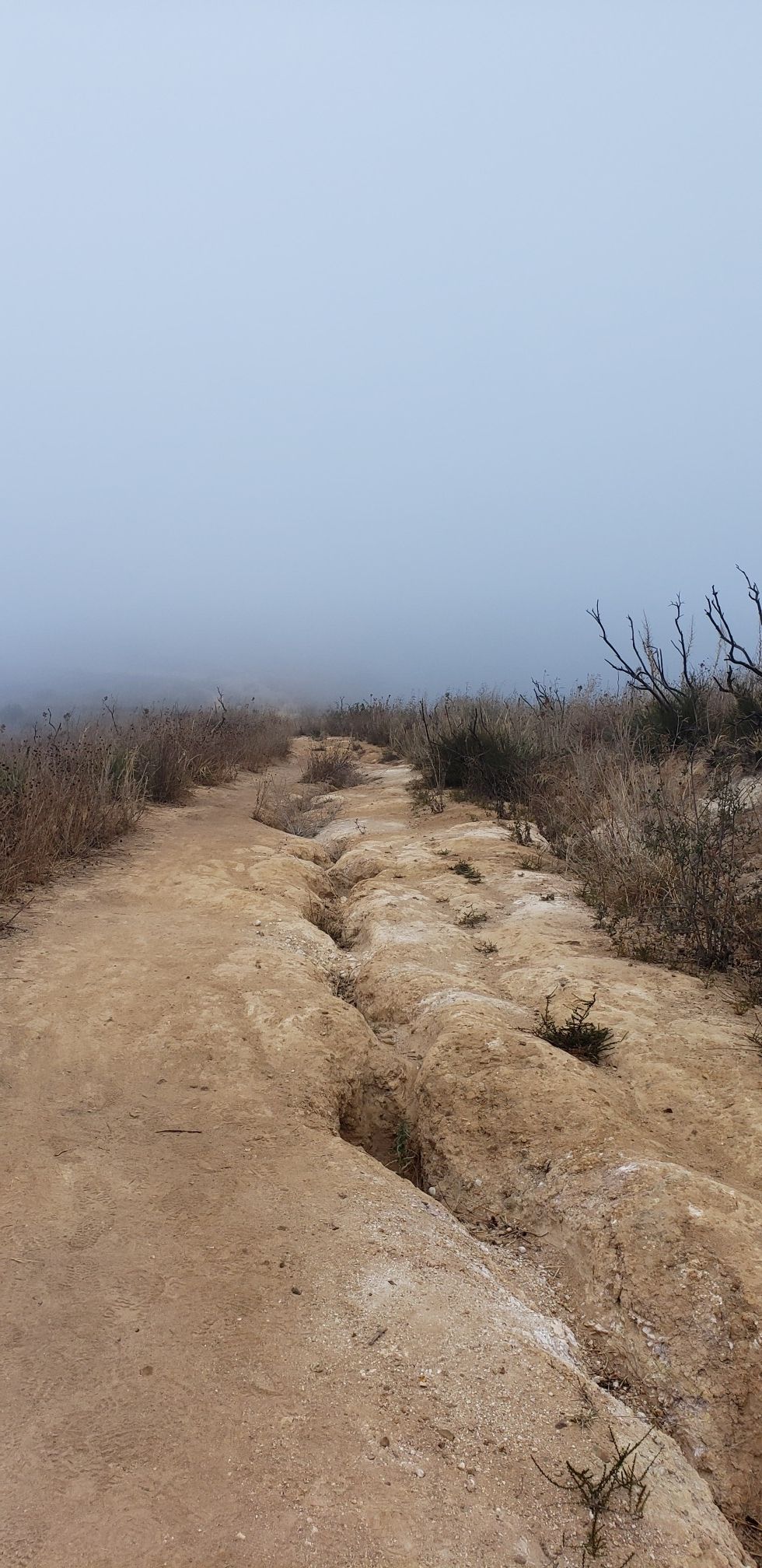 Eroded dirt path through dry brush, disappearing into dense fog. - Oakbrook Vista Switchbacks – Rabbit Ridge Rock Formations loop from Miller Ranch