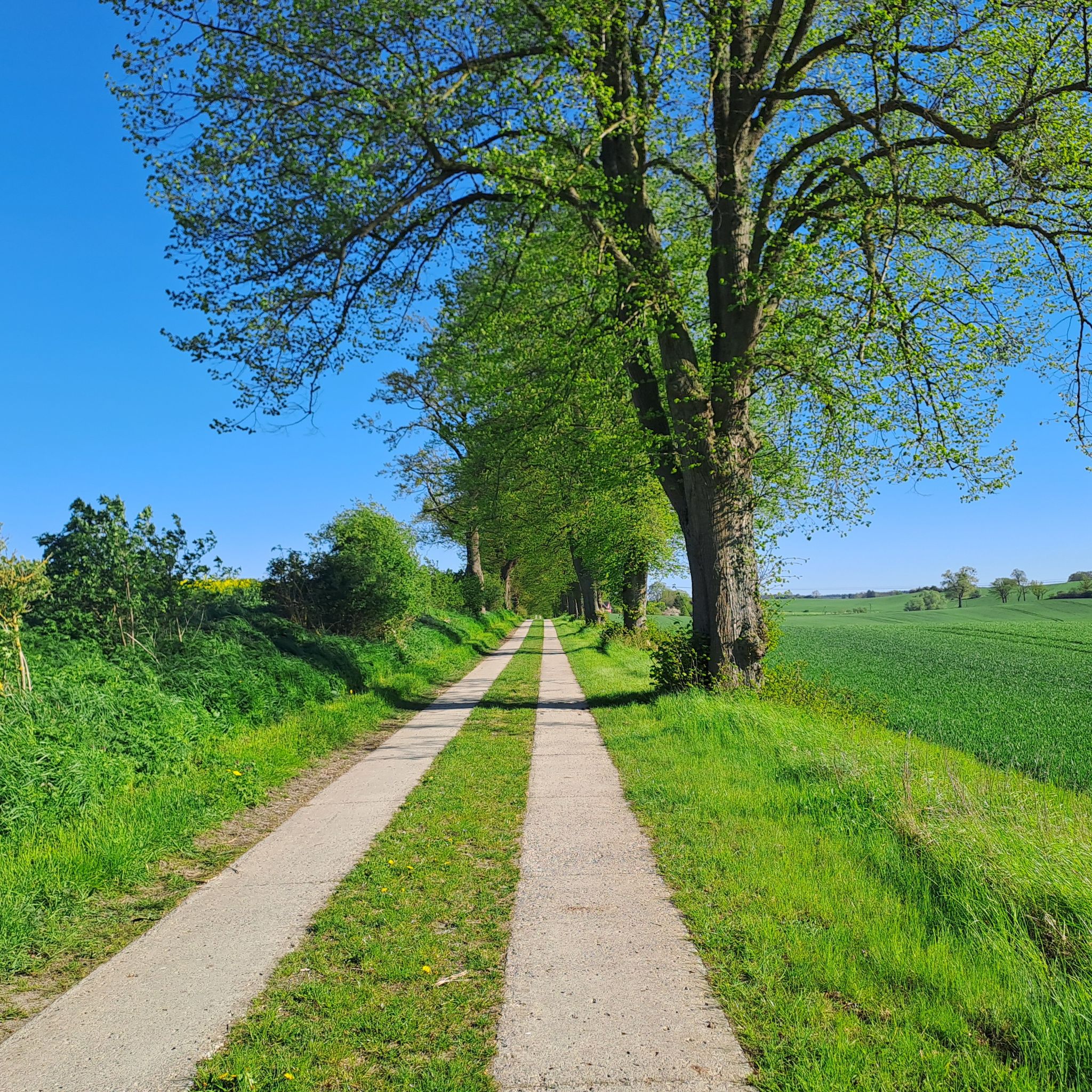 Auf dem Fernradweg "Kopenhagen-Berlin"