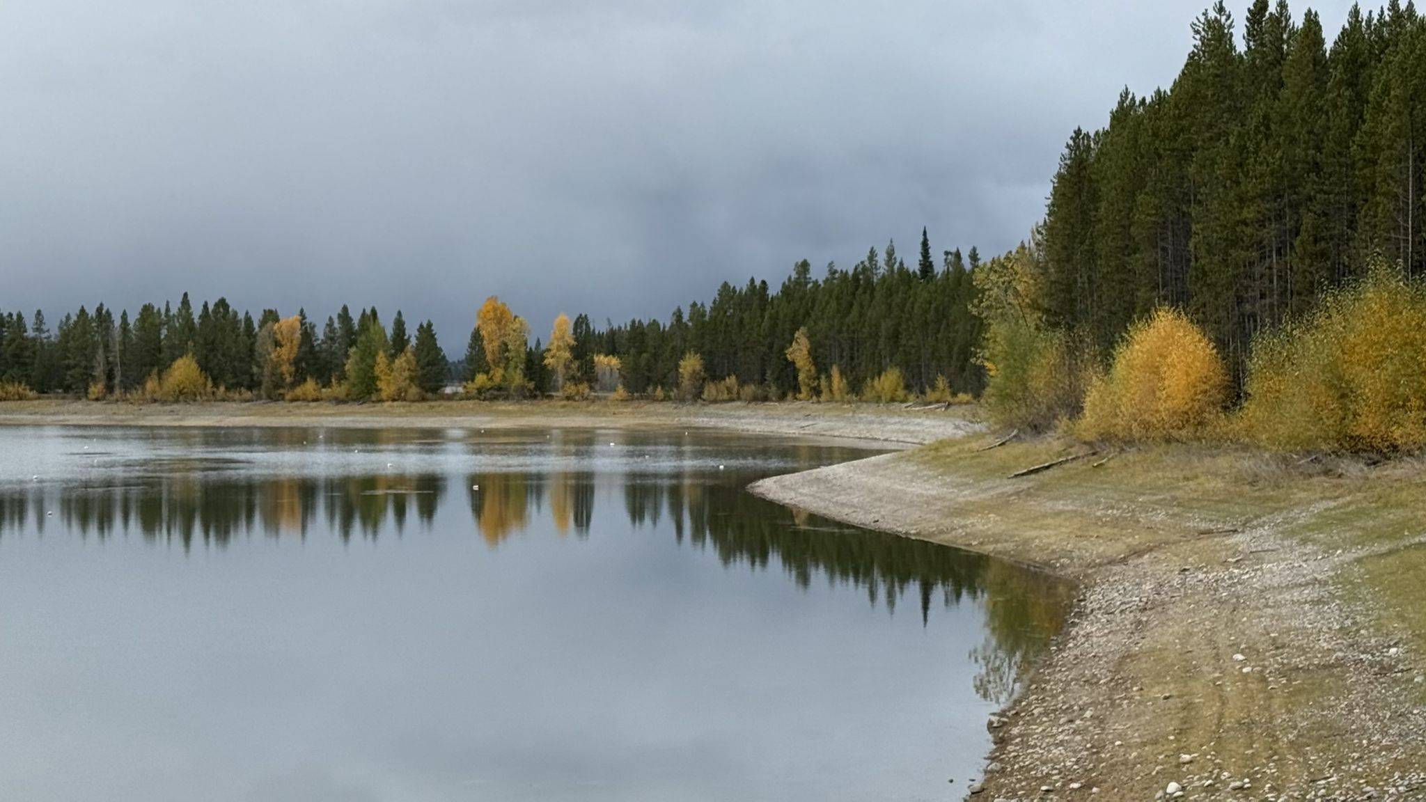 Calm lake reflecting autumn trees under a grey, overcast sky. - Colter Bay Village loop from Teton